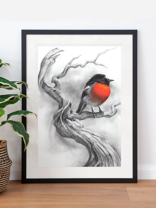 'Scarlet Robin' art print