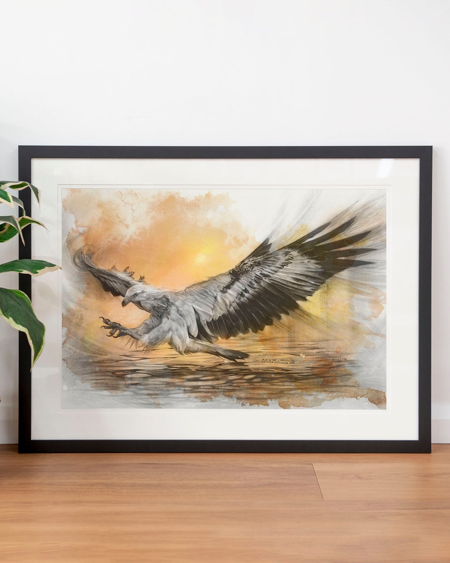 'White-bellied Sea Eagle Sunset' art print