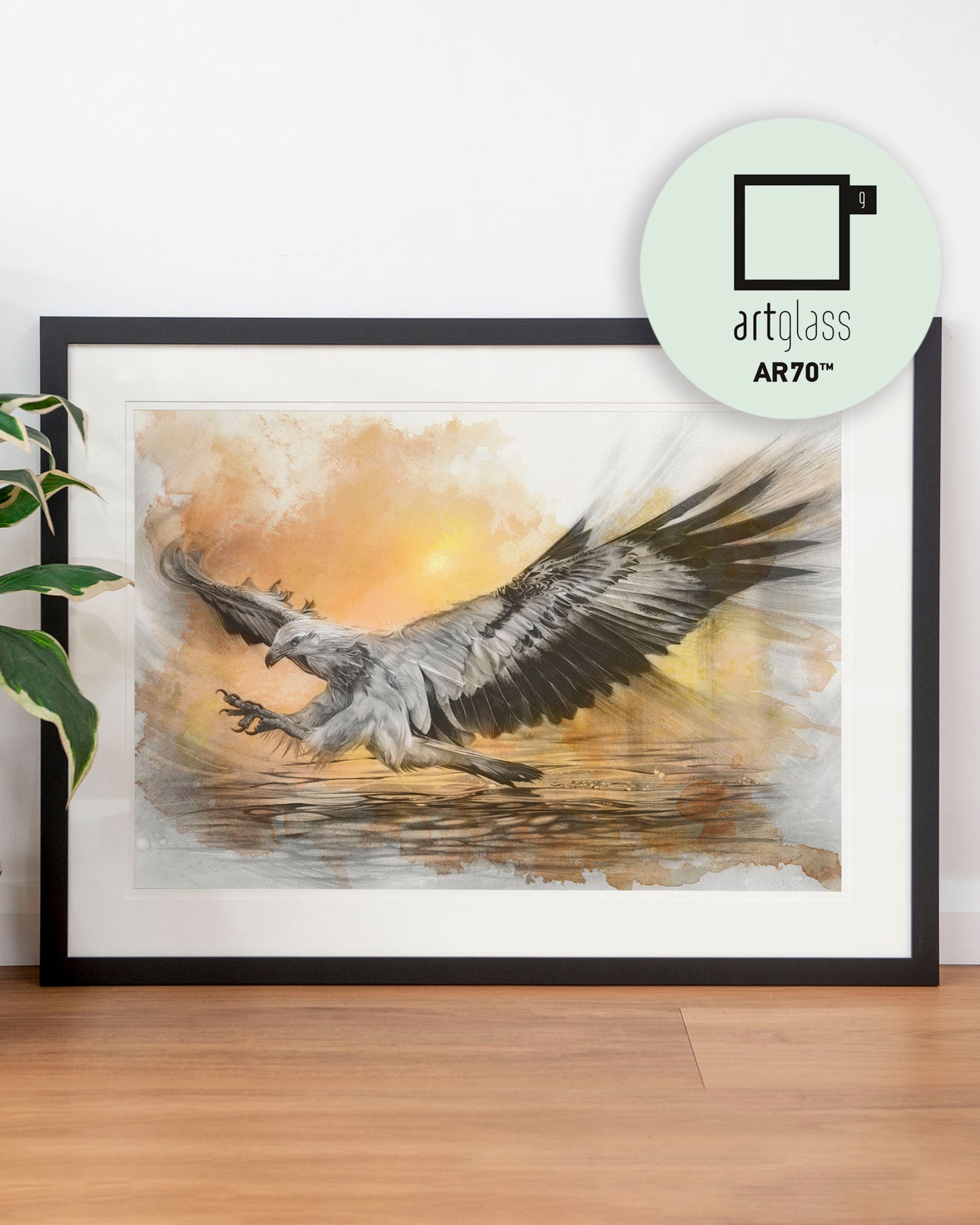 'White-bellied Sea Eagle Sunset' art print