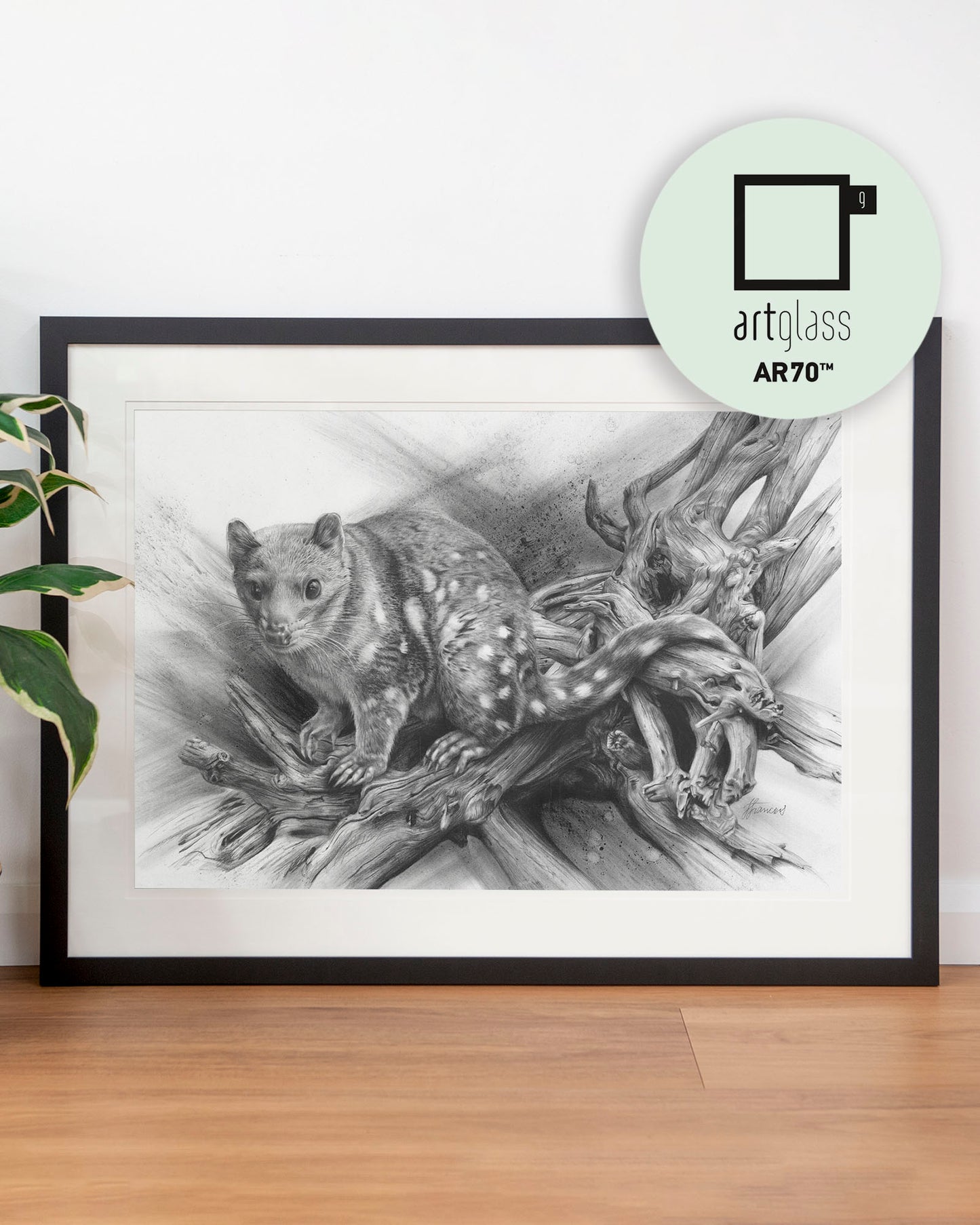 'Spotted Quoll' art print