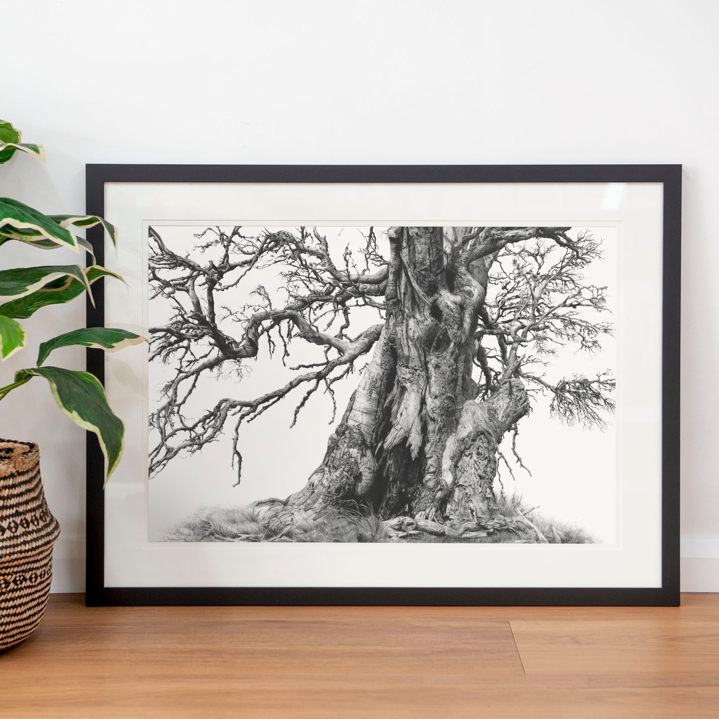 'Tree Elder 1' art print