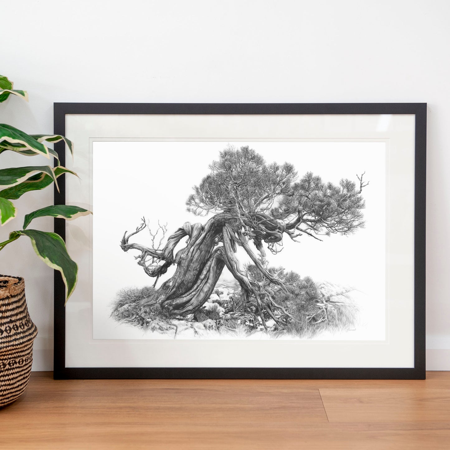 'Tree Elder 2' art print