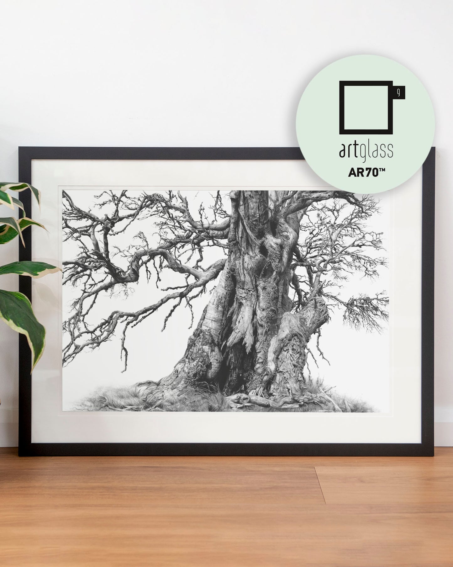 'Tree Elder 1' art print