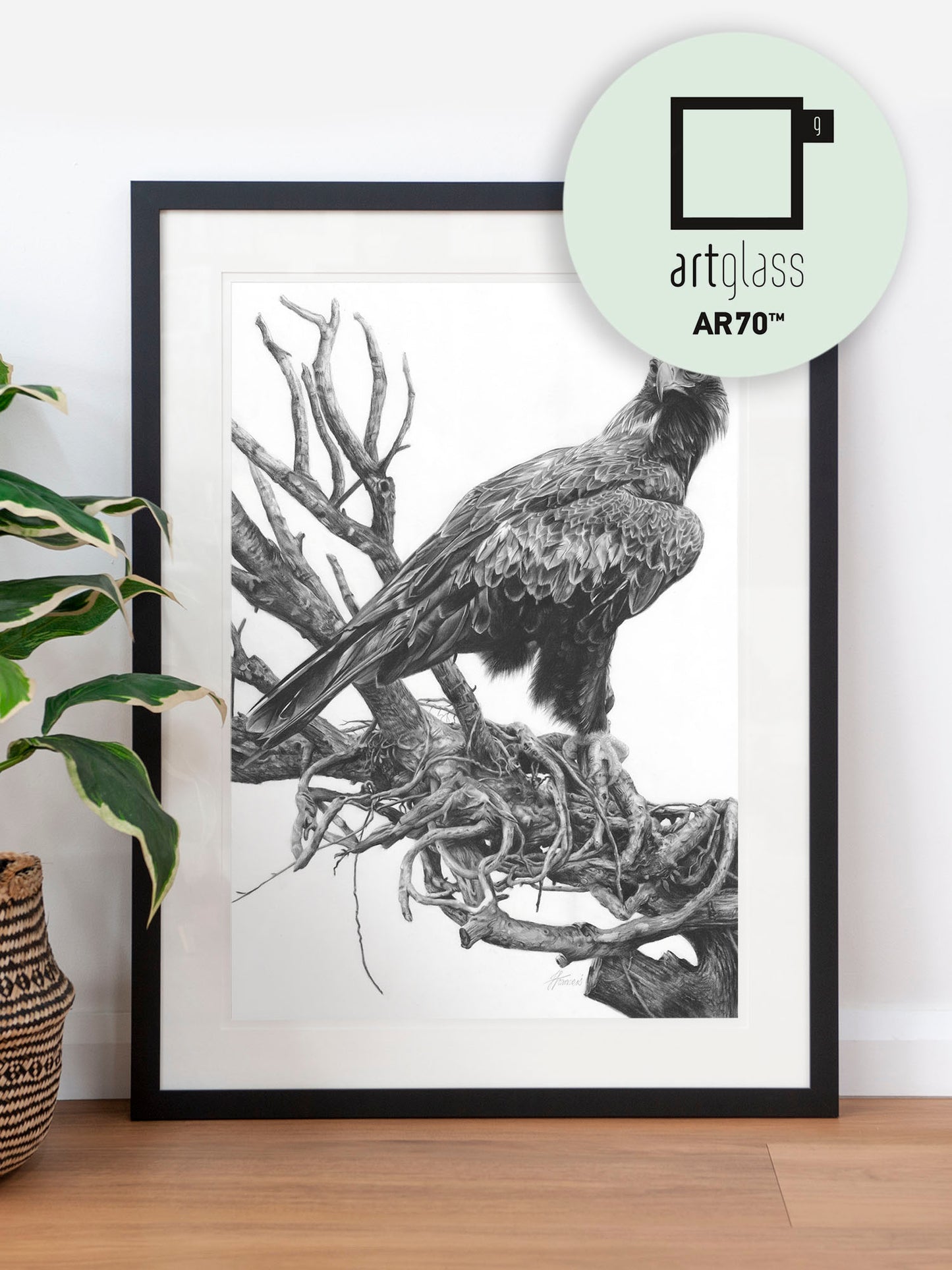 'Wedge-tailed Eagle' art print