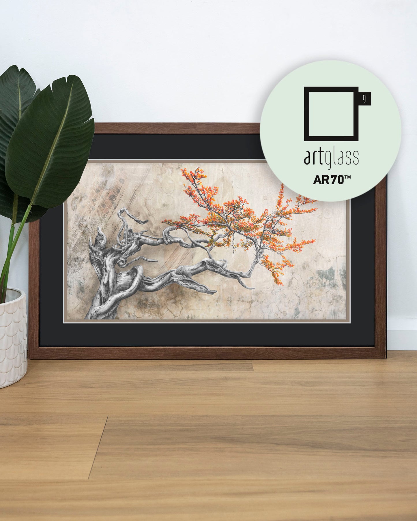 'Bonsai Fagus' art print