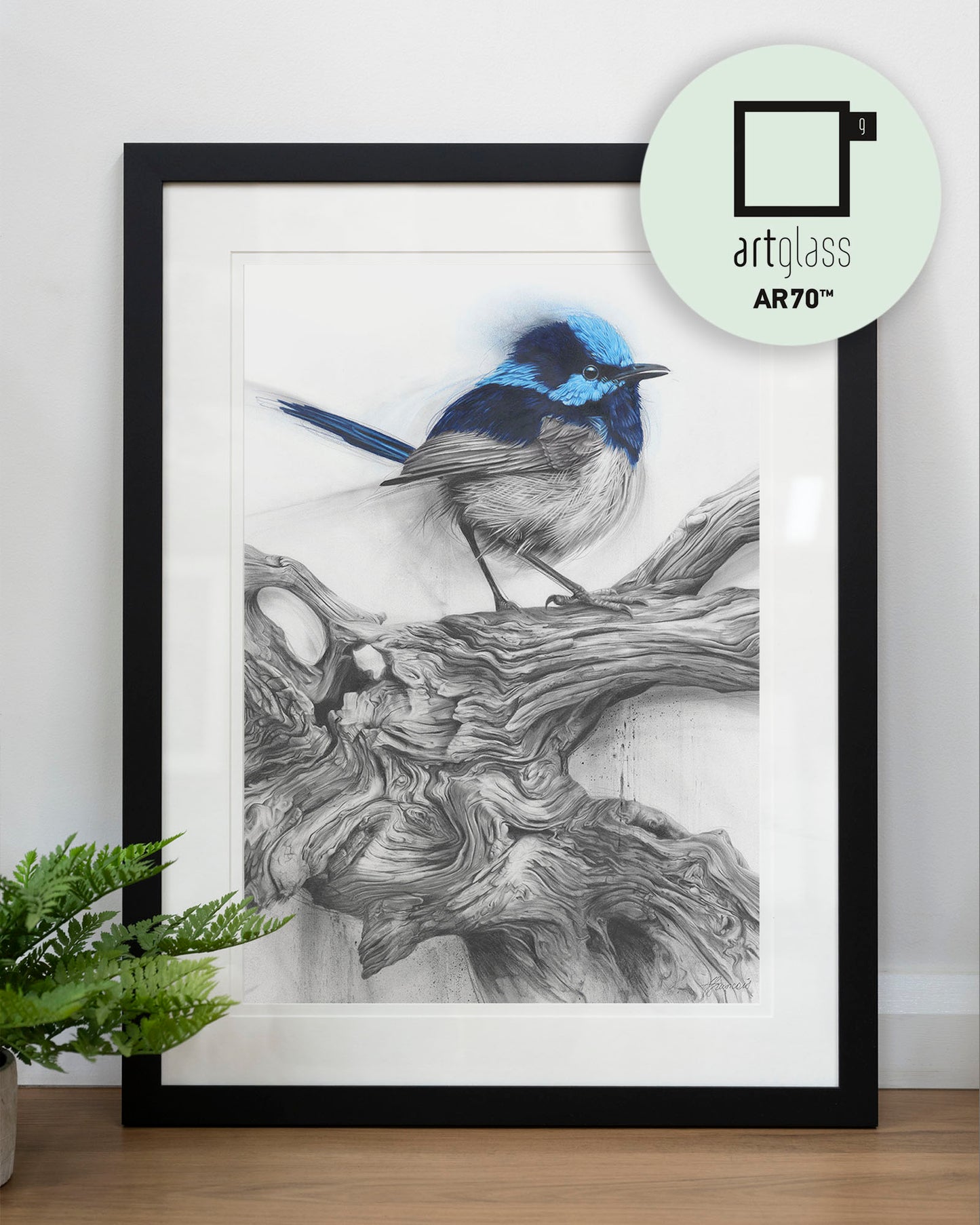 'Fairy Wren' art print