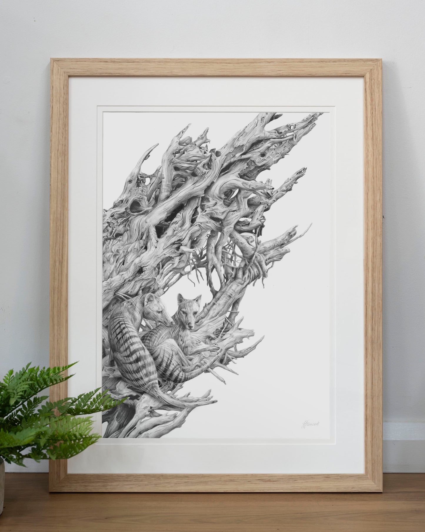 'Driftwood Thylacine' art print