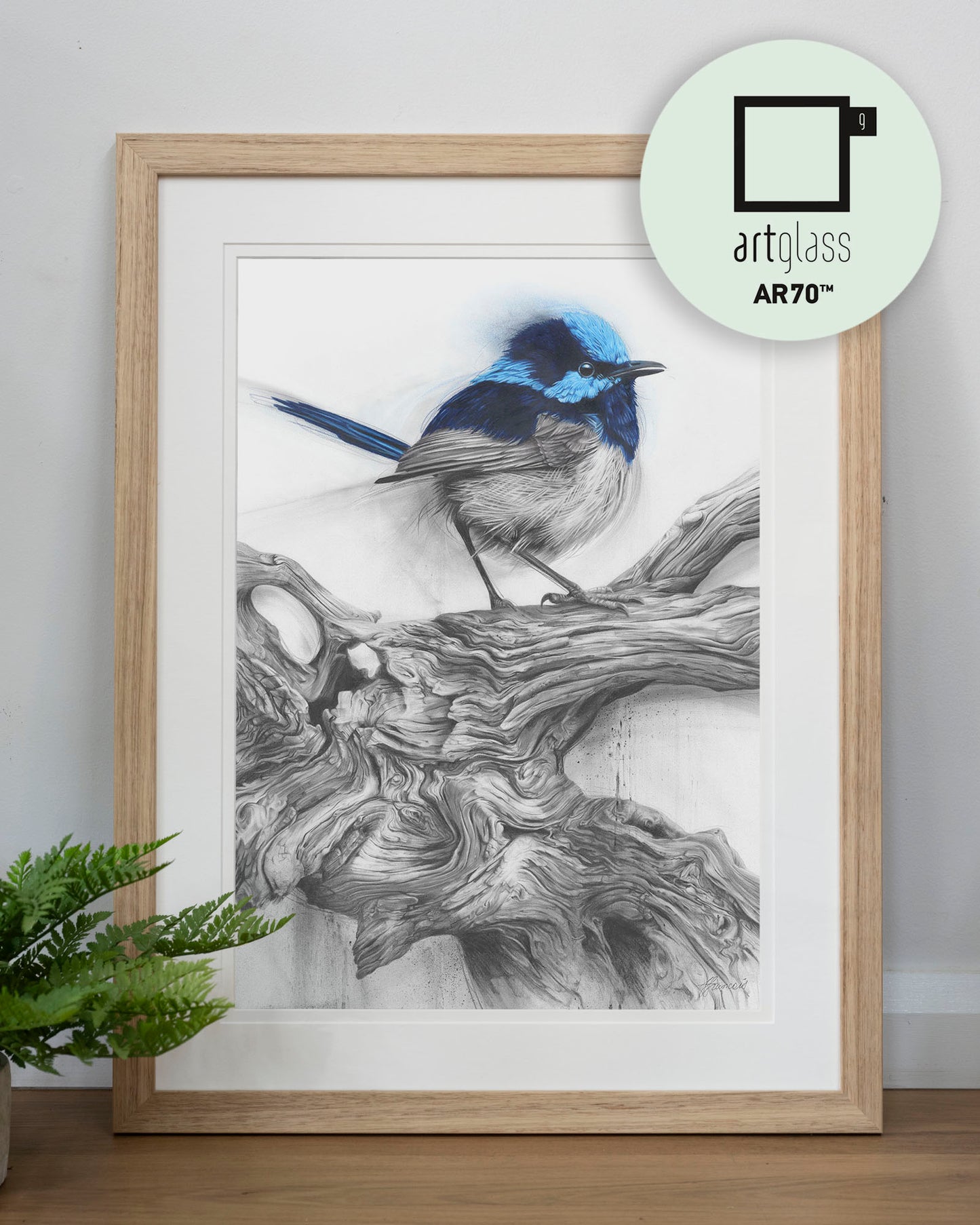 'Fairy Wren' art print