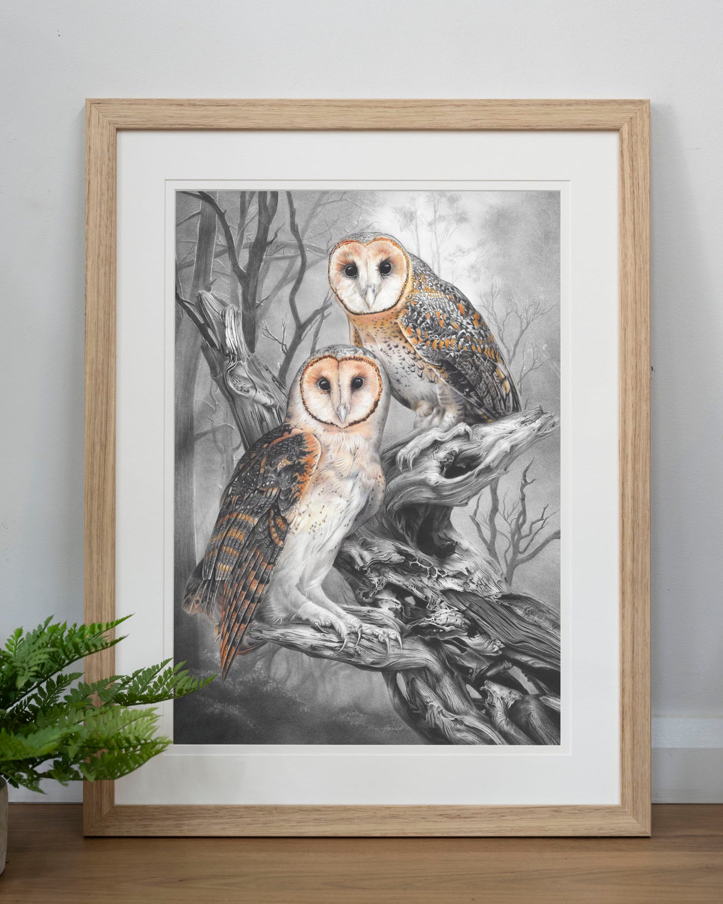 'Tasmanian Masked Owls' art print