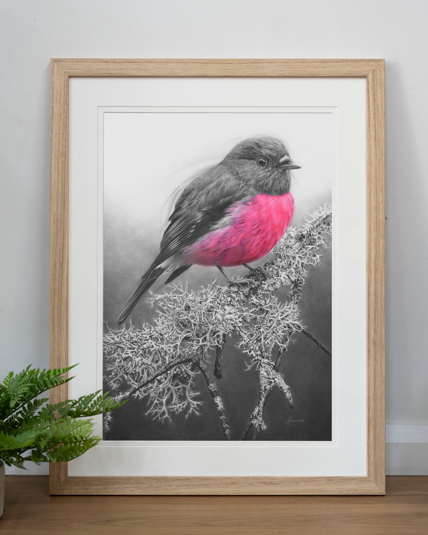'Pink Robin' art print