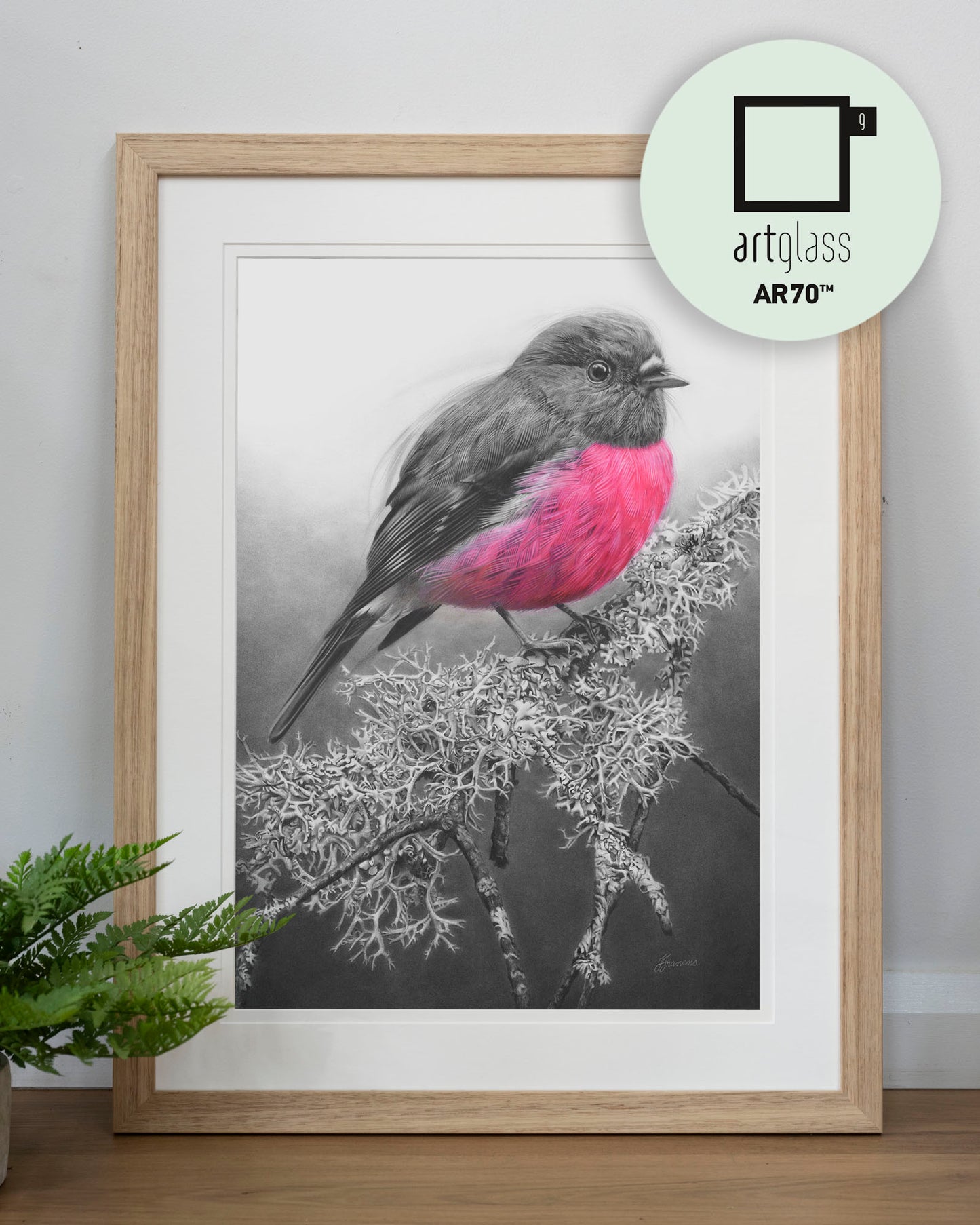 'Pink Robin' art print