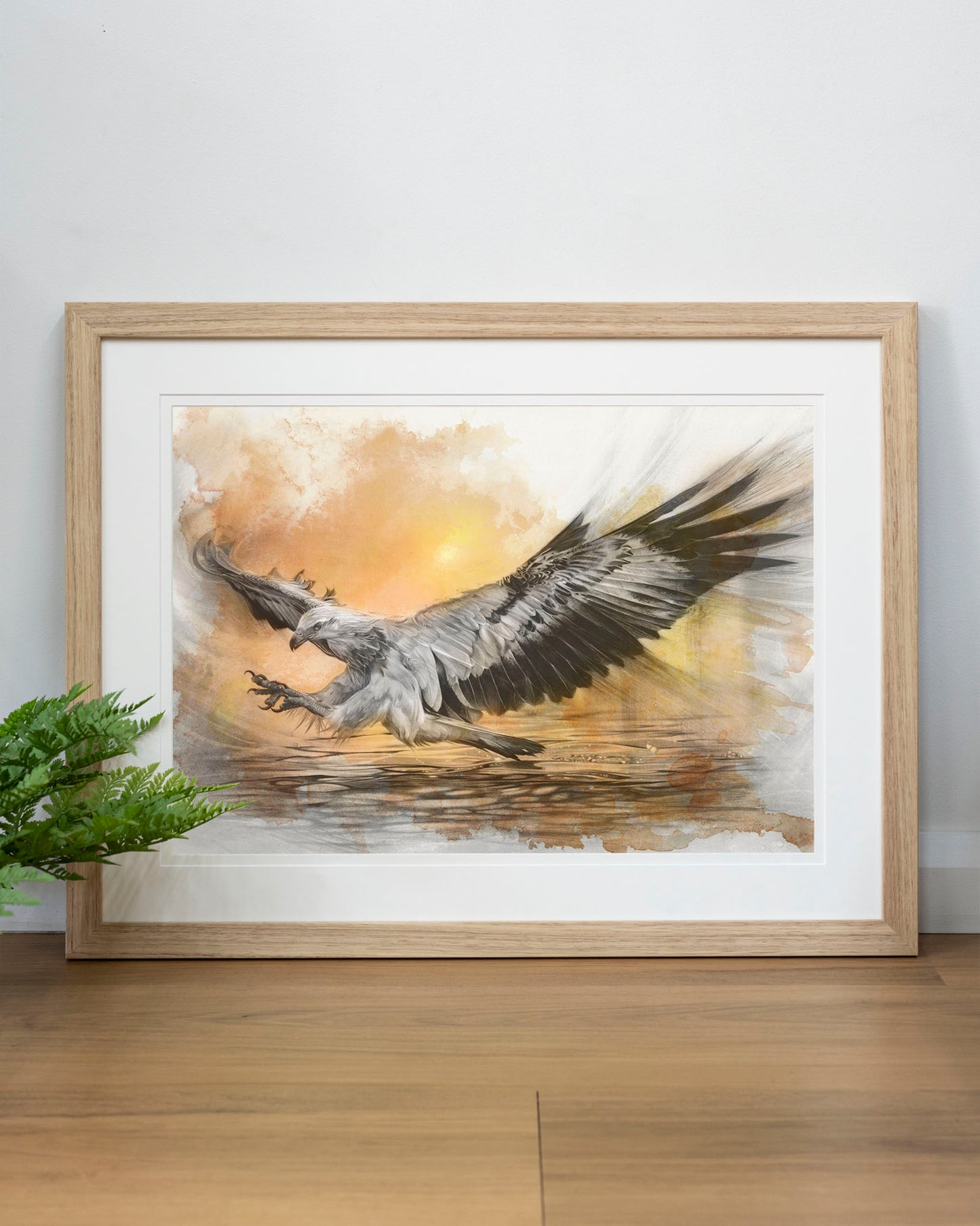 'White-bellied Sea Eagle Sunset' art print