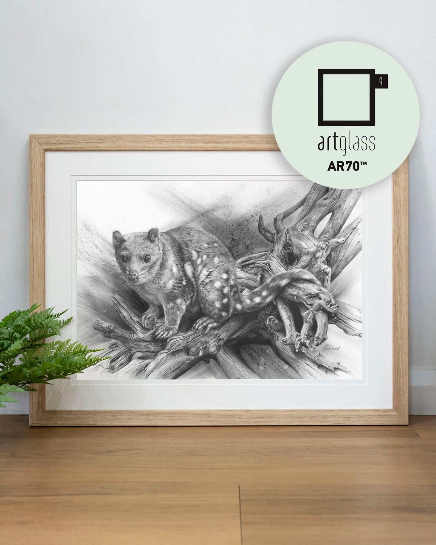 'Spotted Quoll' art print