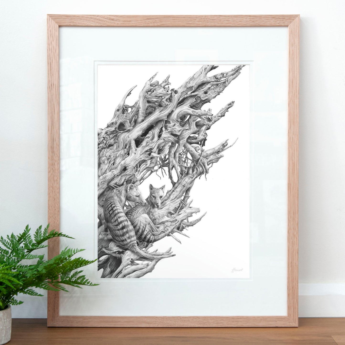 'Driftwood Thylacine' art print