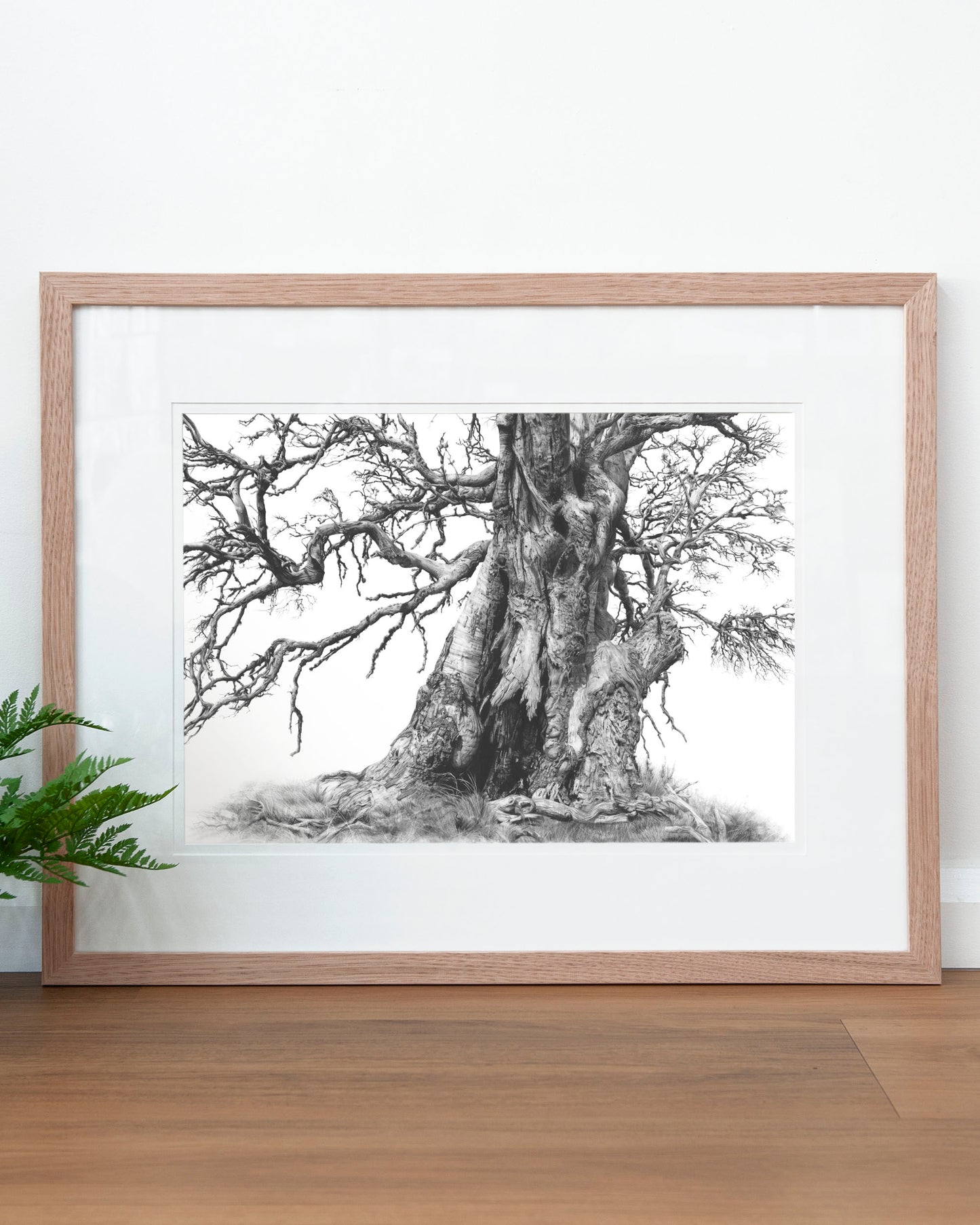 'Tree Elder 1' art print