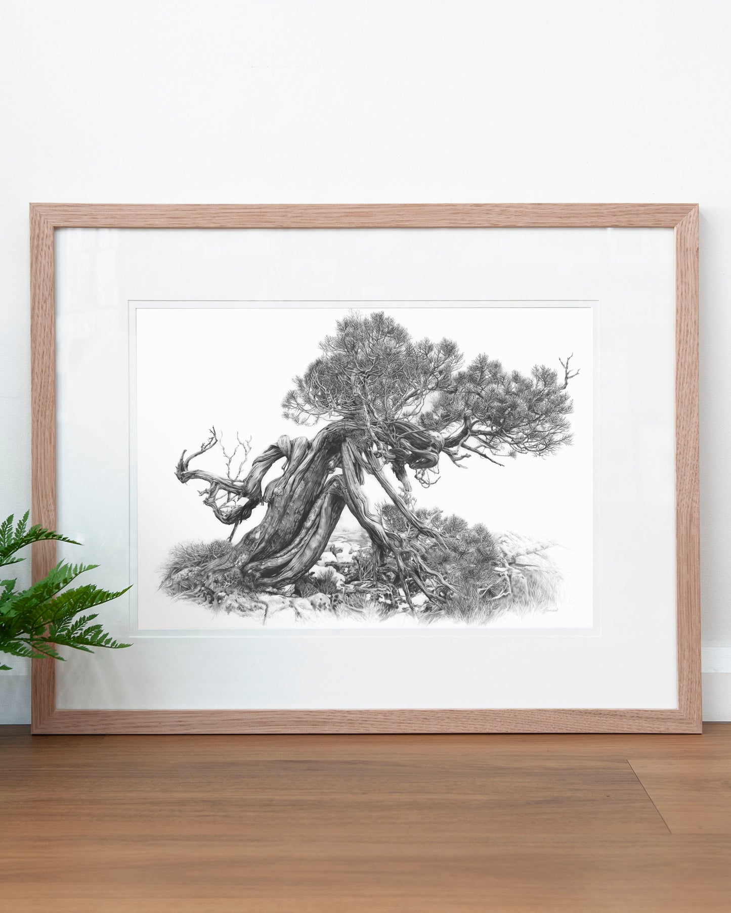 'Tree Elder 2' art print