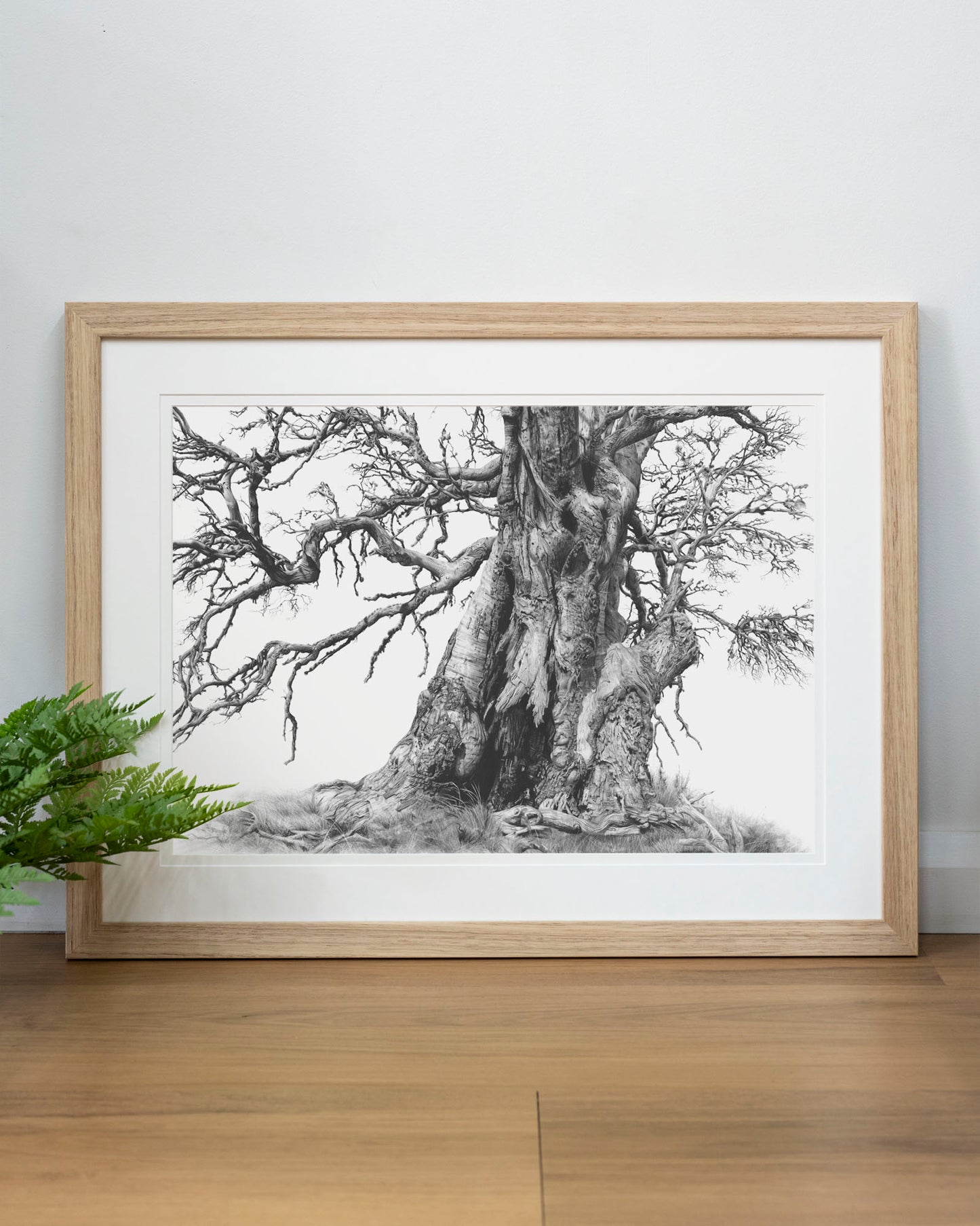 'Tree Elder 1' art print