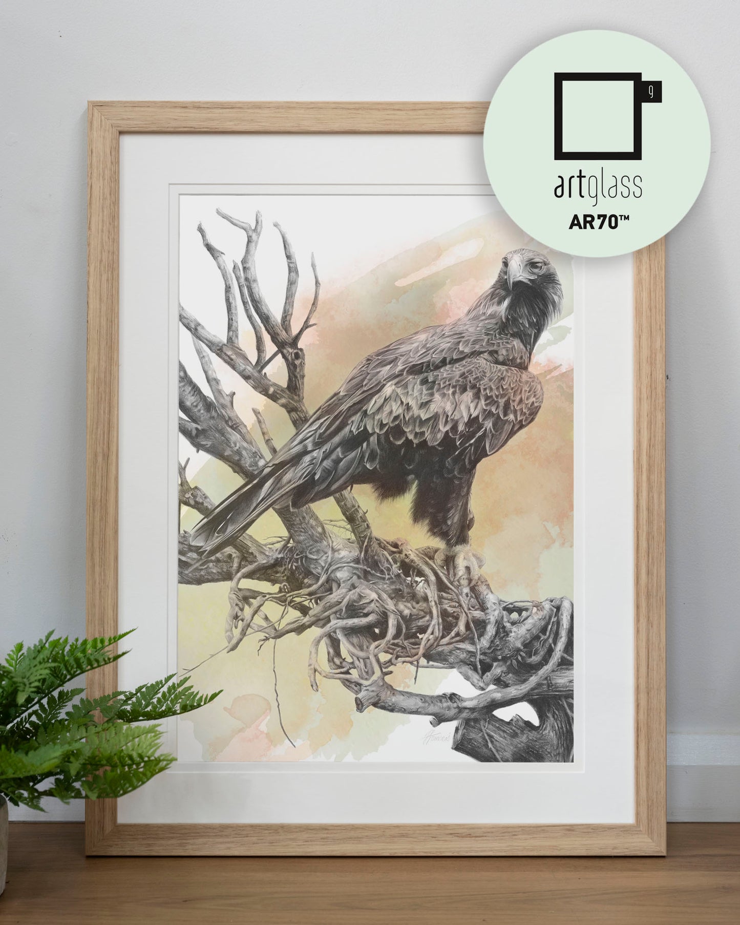 'Wedge-tailed Eagle Colour' art print