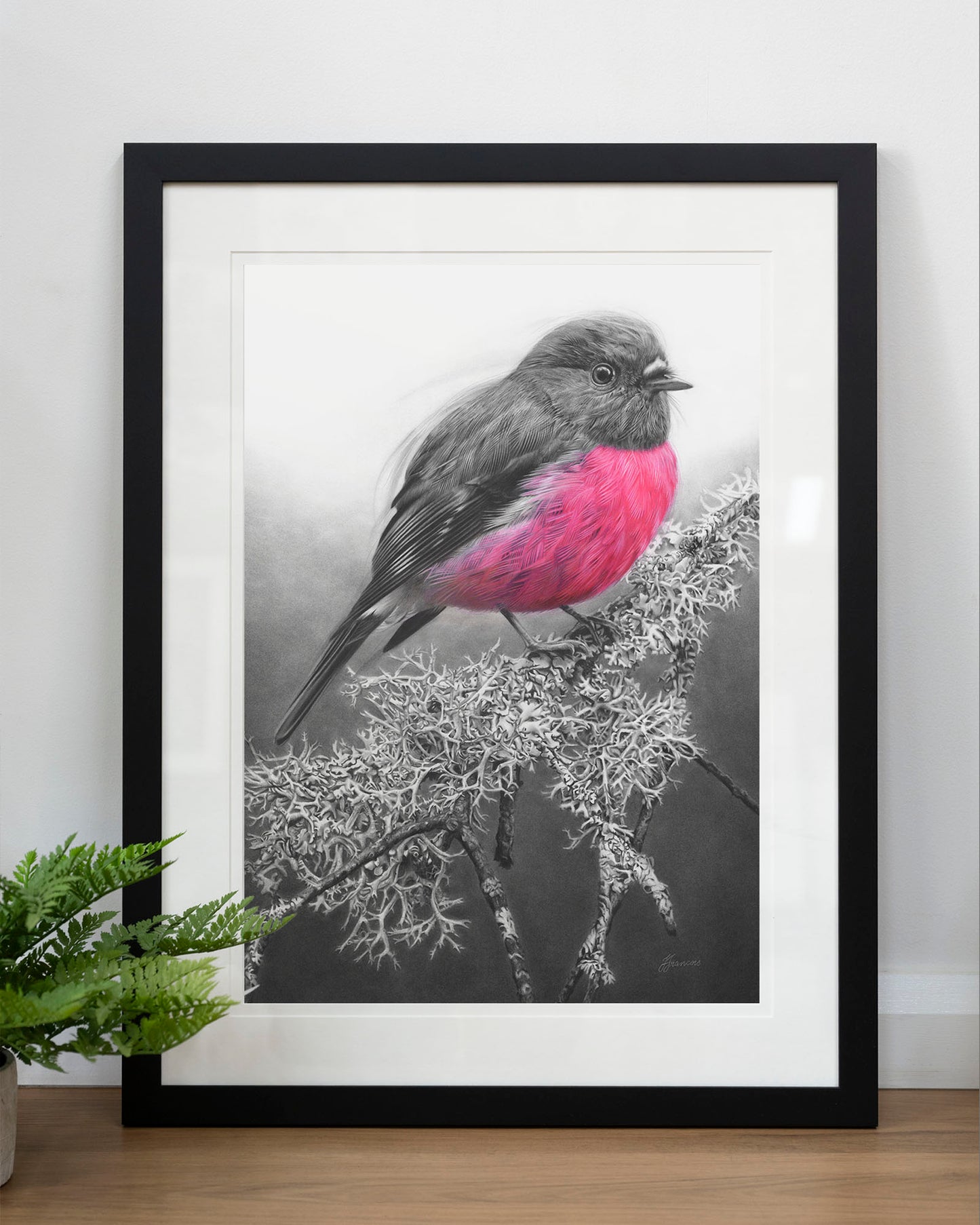 'Pink Robin' art print