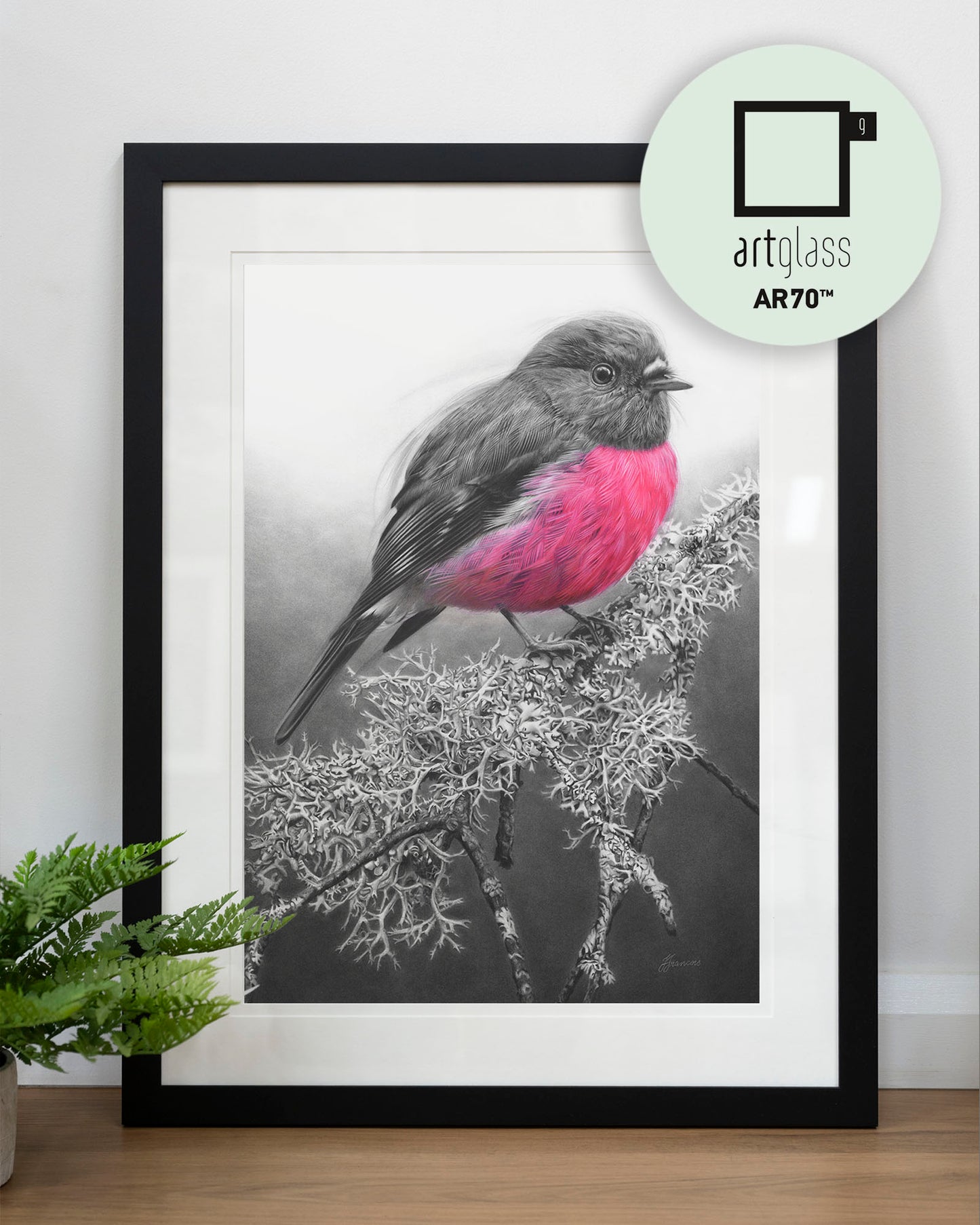 'Pink Robin' art print