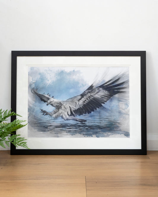 'White-bellied Sea Eagle Blue' art print