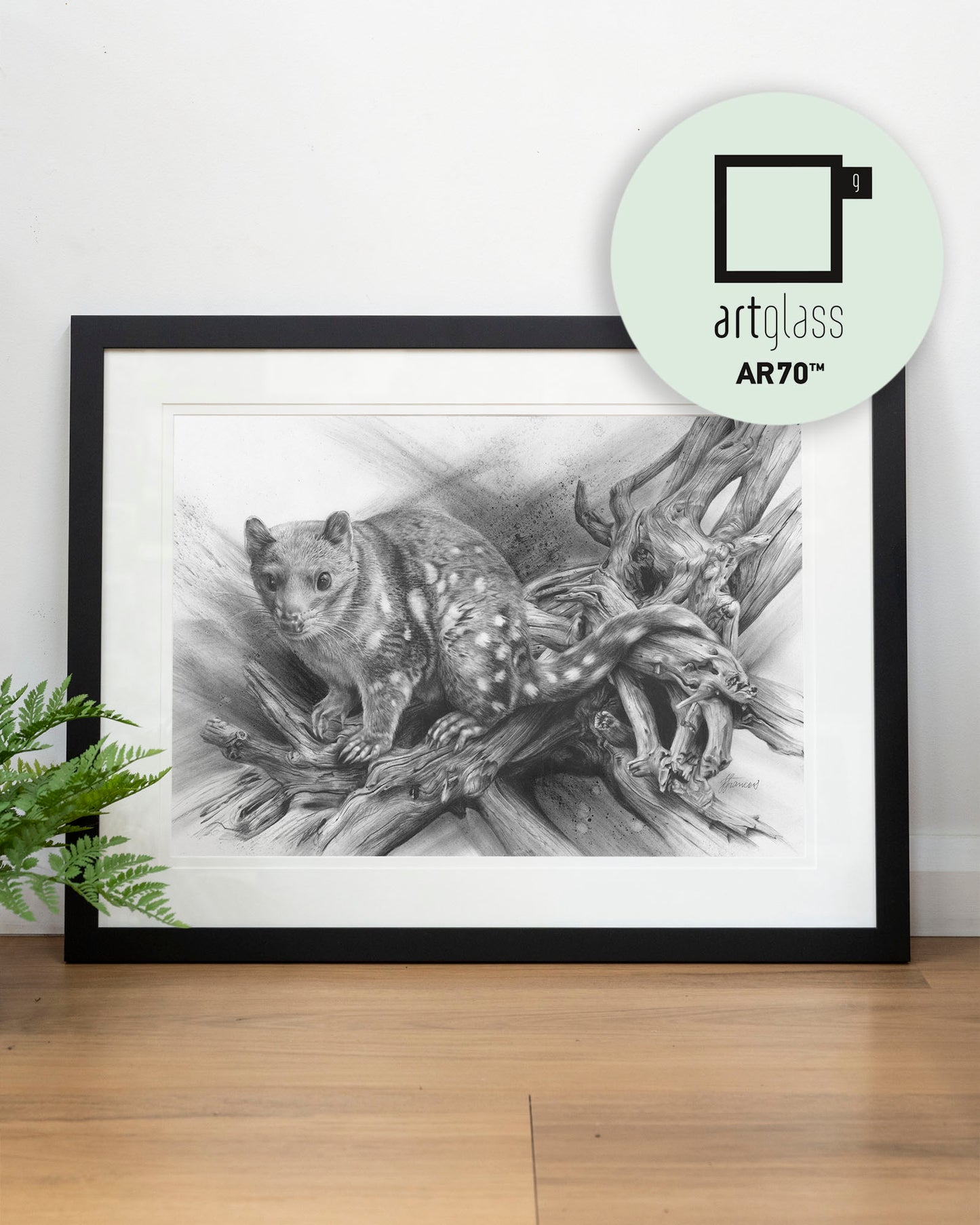 'Spotted Quoll' art print