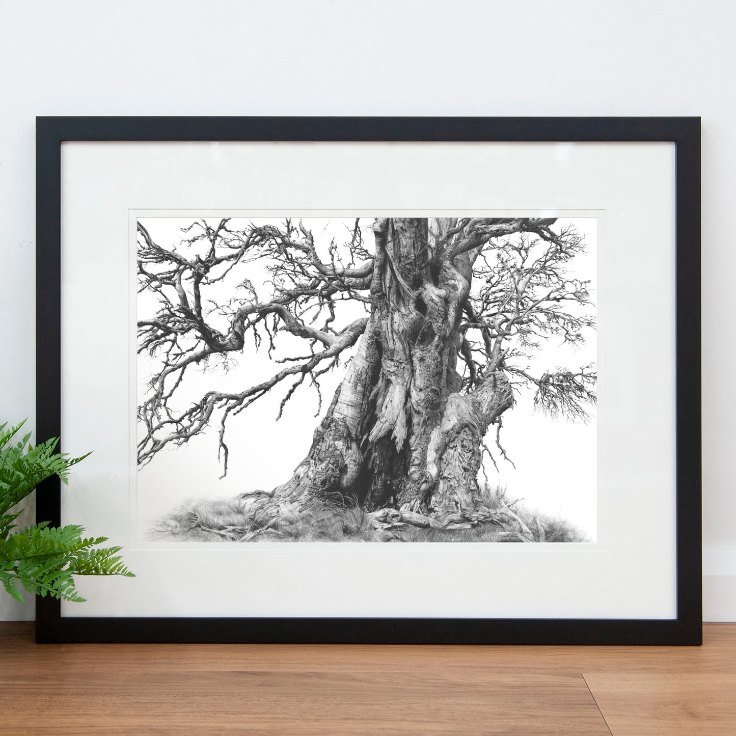 'Tree Elder 1' art print