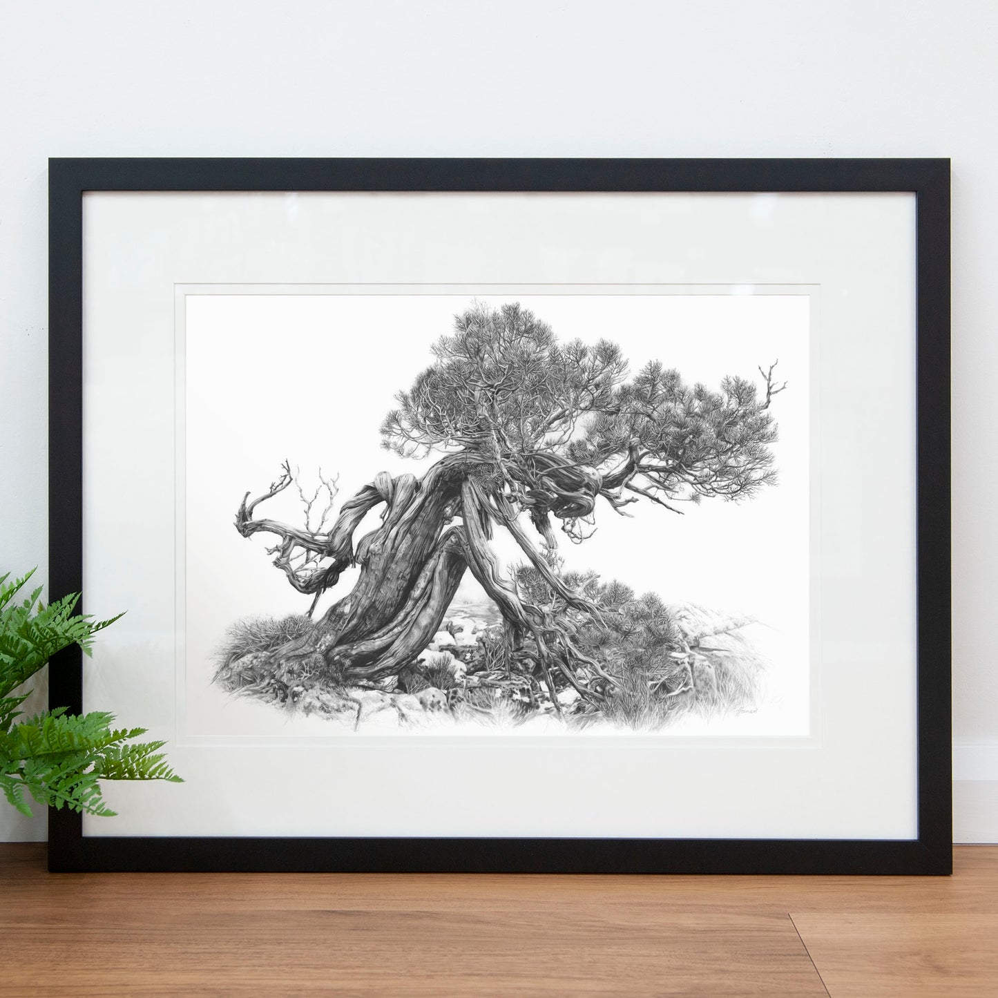 'Tree Elder 2' art print