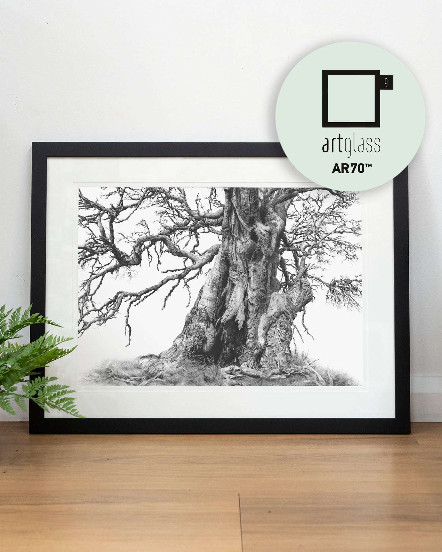 'Tree Elder 1' art print
