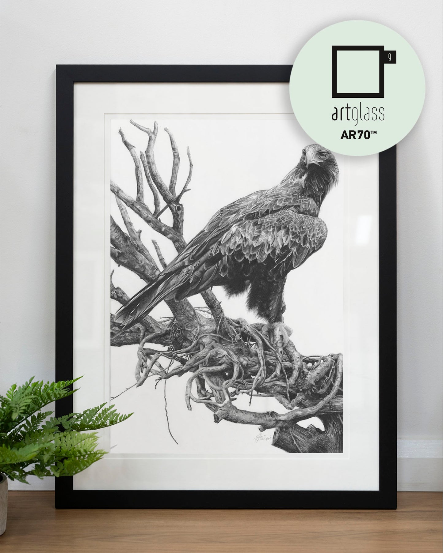 'Wedge-tailed Eagle' art print