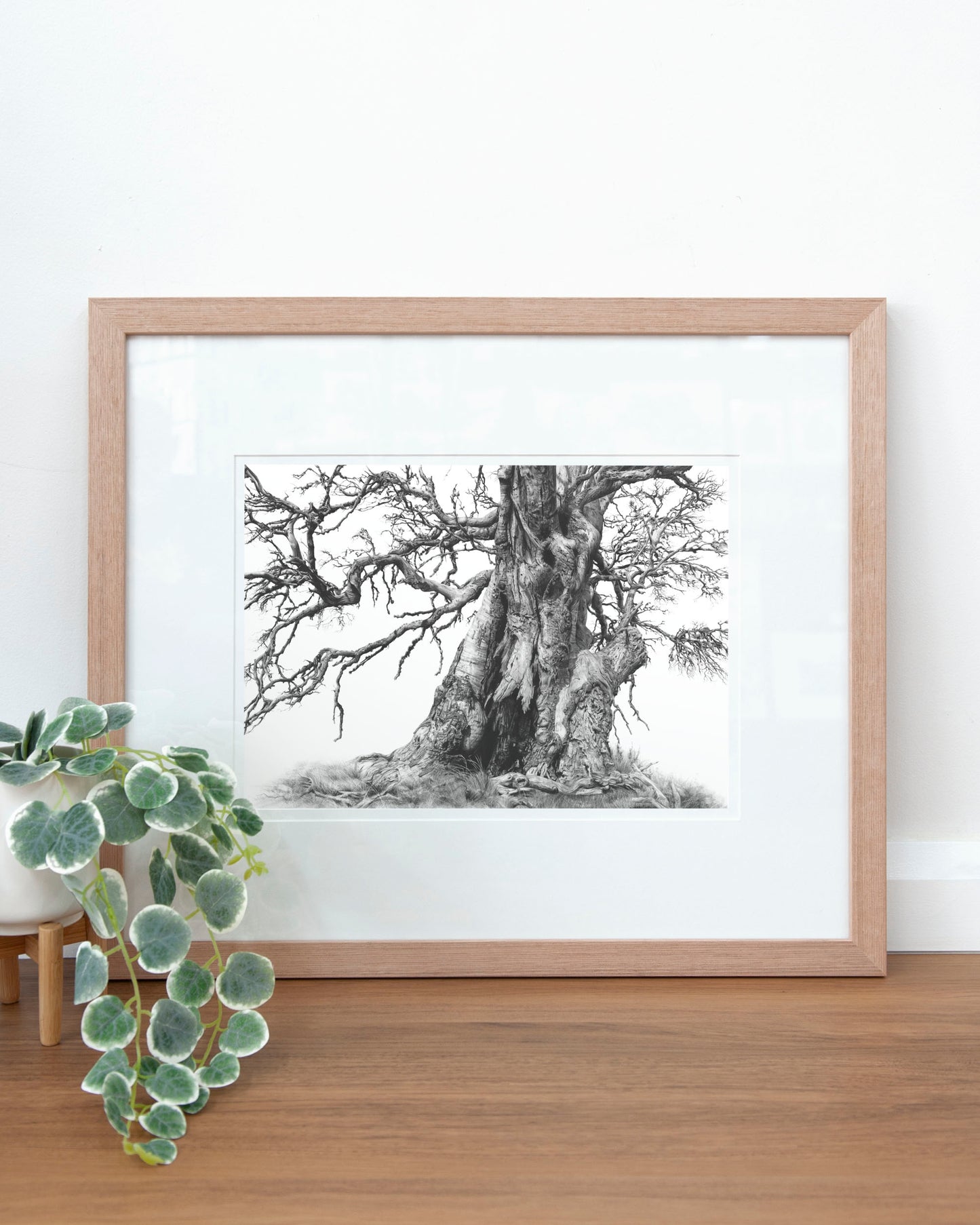 'Tree Elder 1' art print