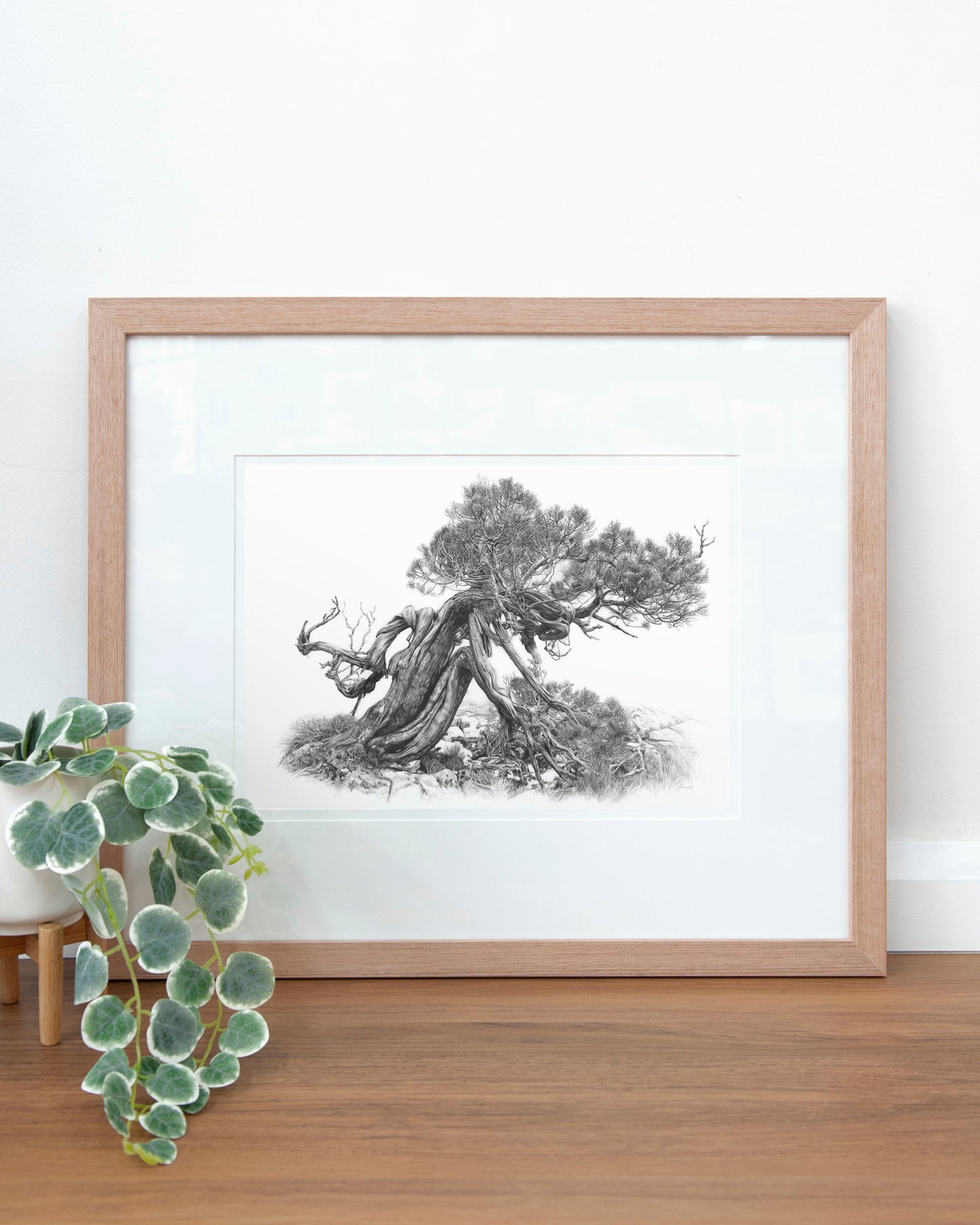 'Tree Elder 2' art print