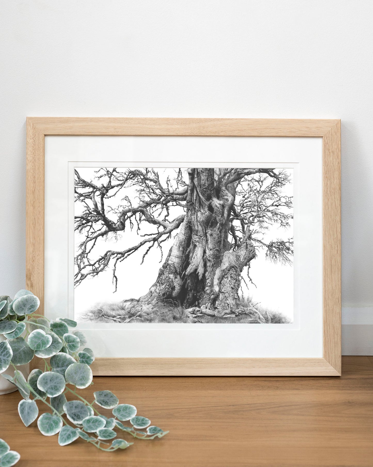 'Tree Elder 1' art print