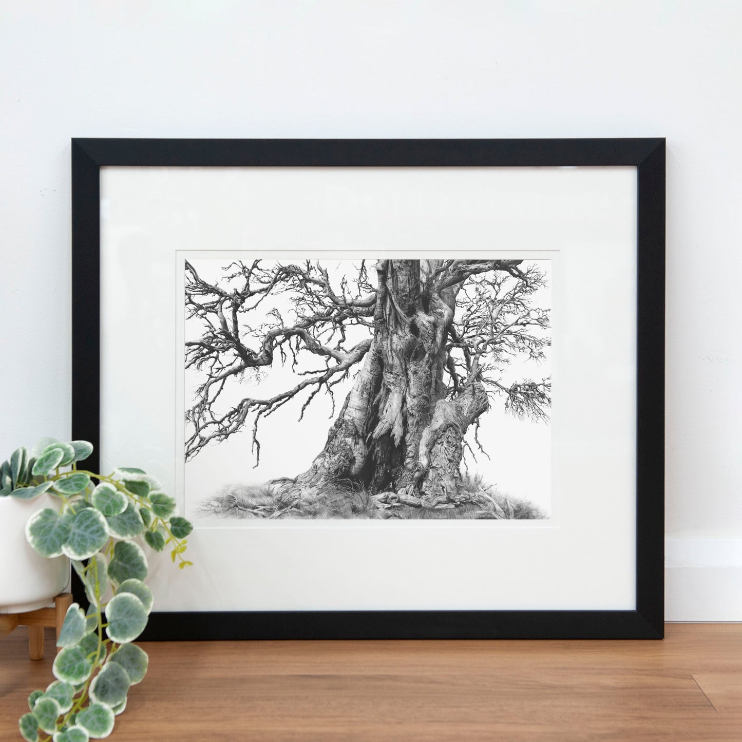 'Tree Elder 1' art print