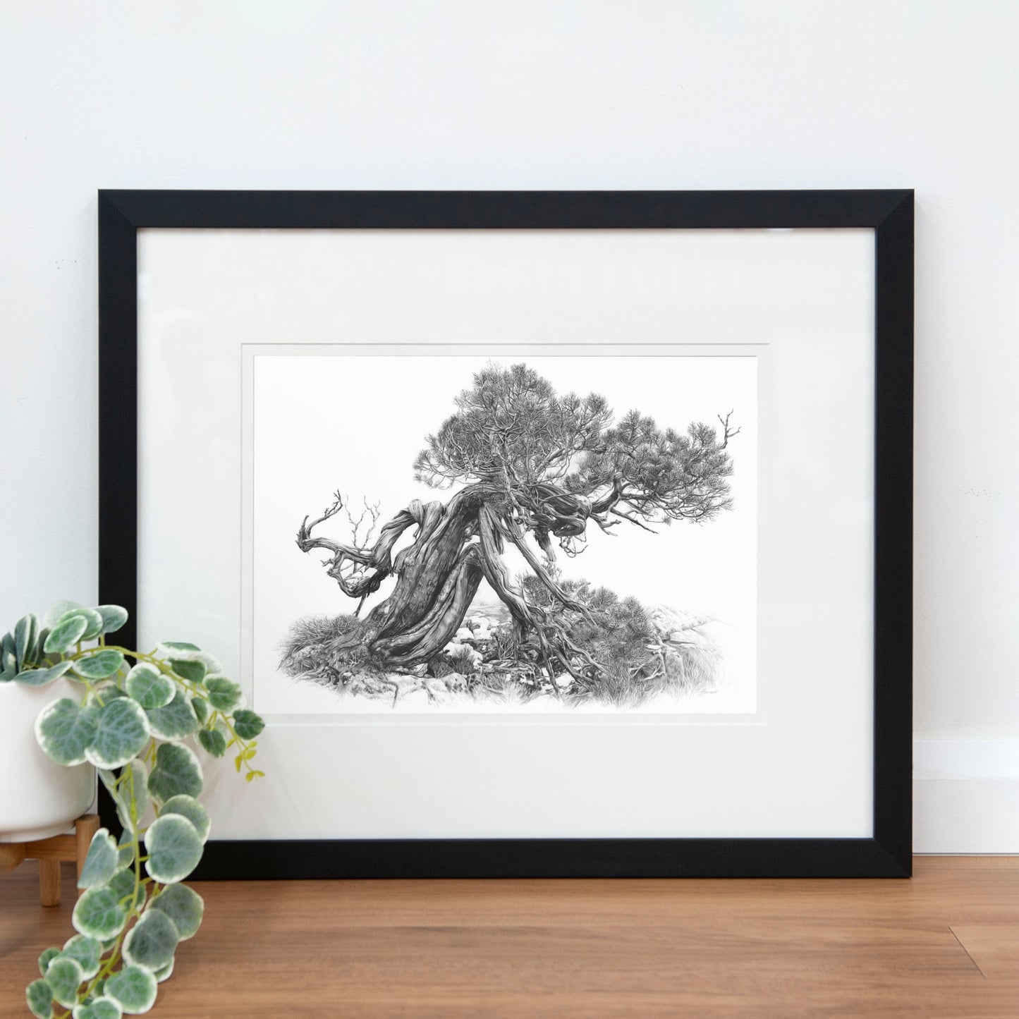 'Tree Elder 2' art print