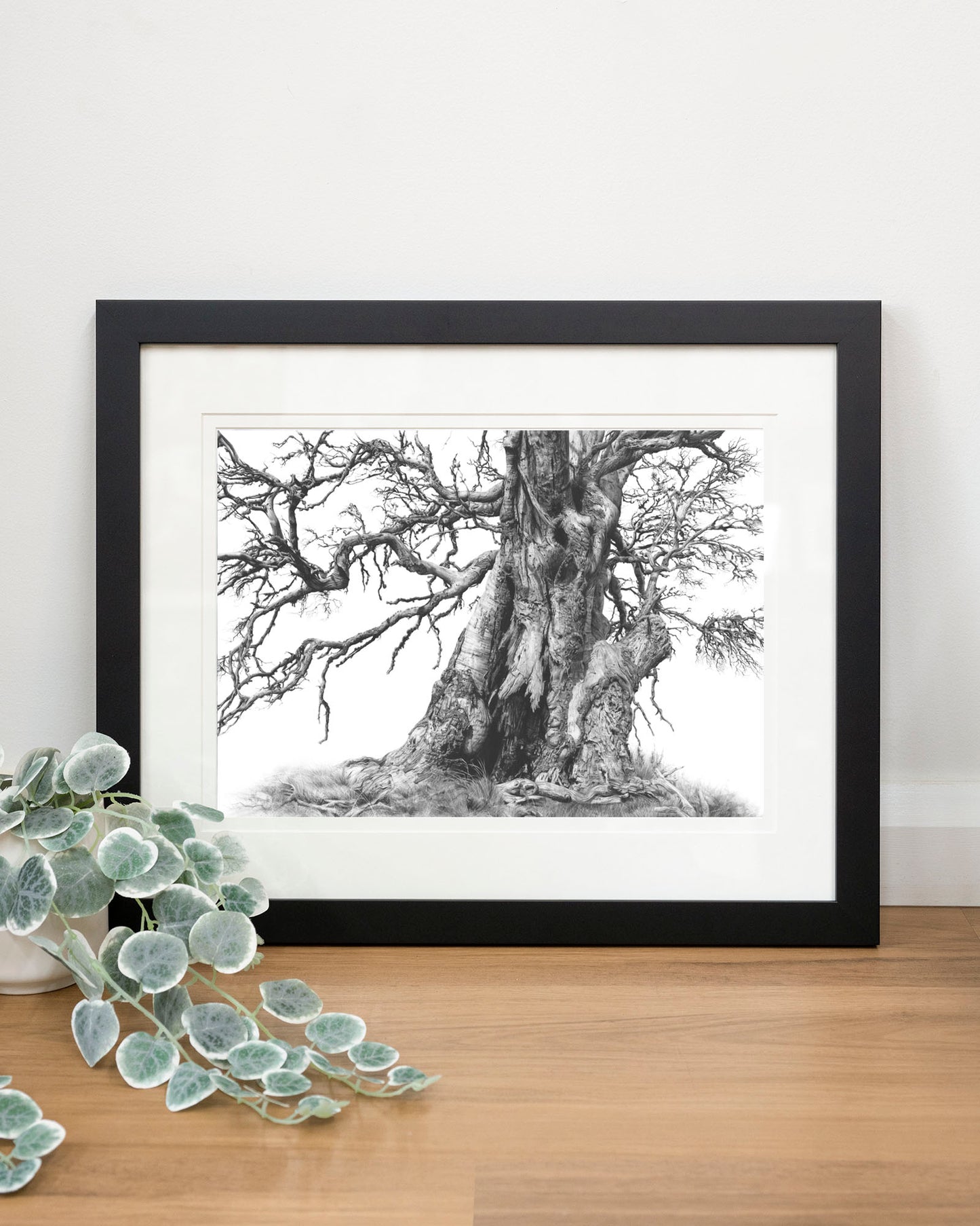 'Tree Elder 1' art print