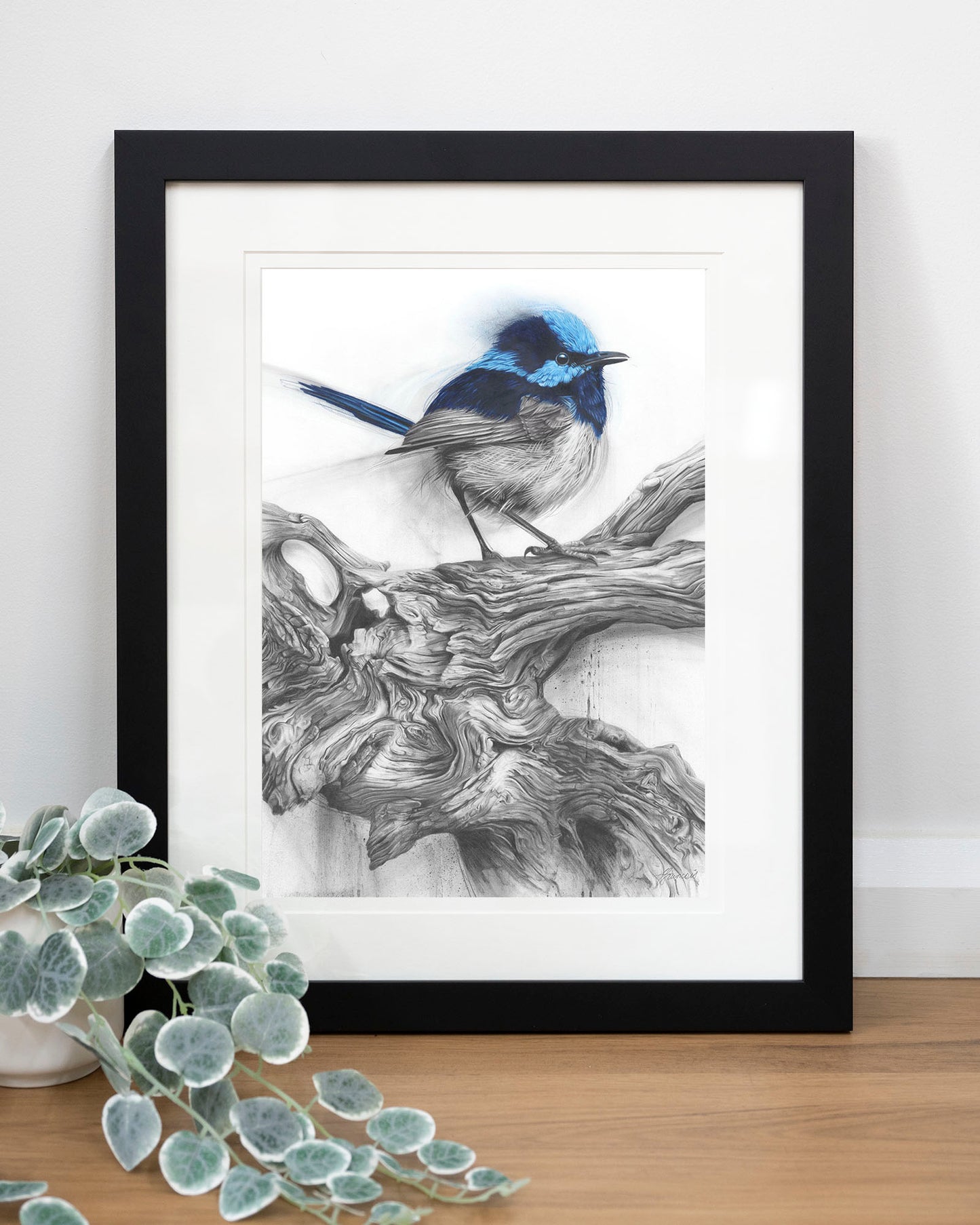 'Fairy Wren' art print