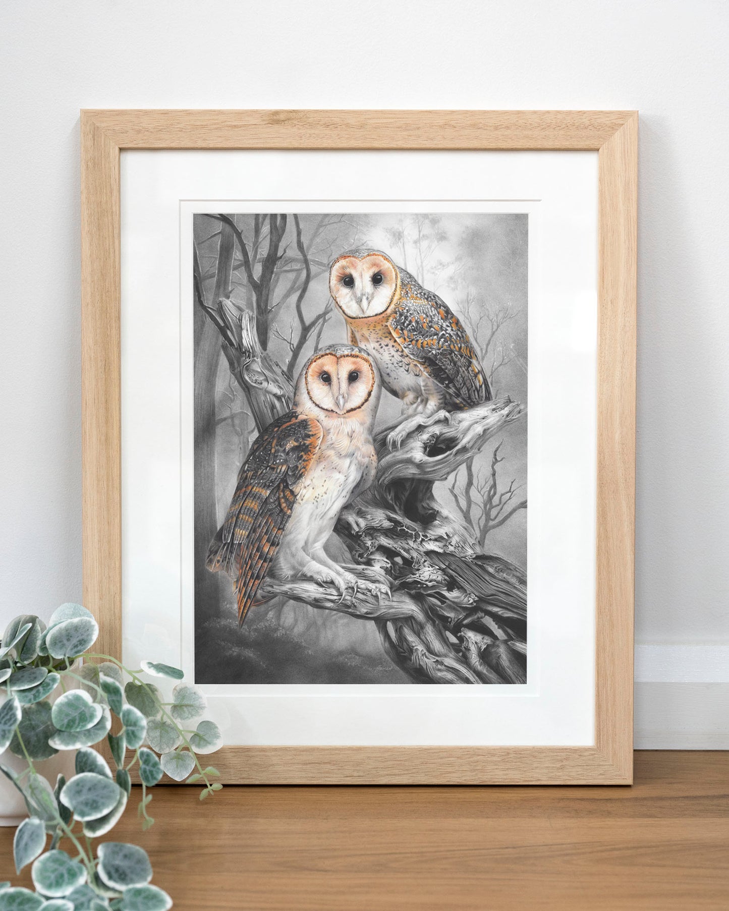 'Tasmanian Masked Owls' art print