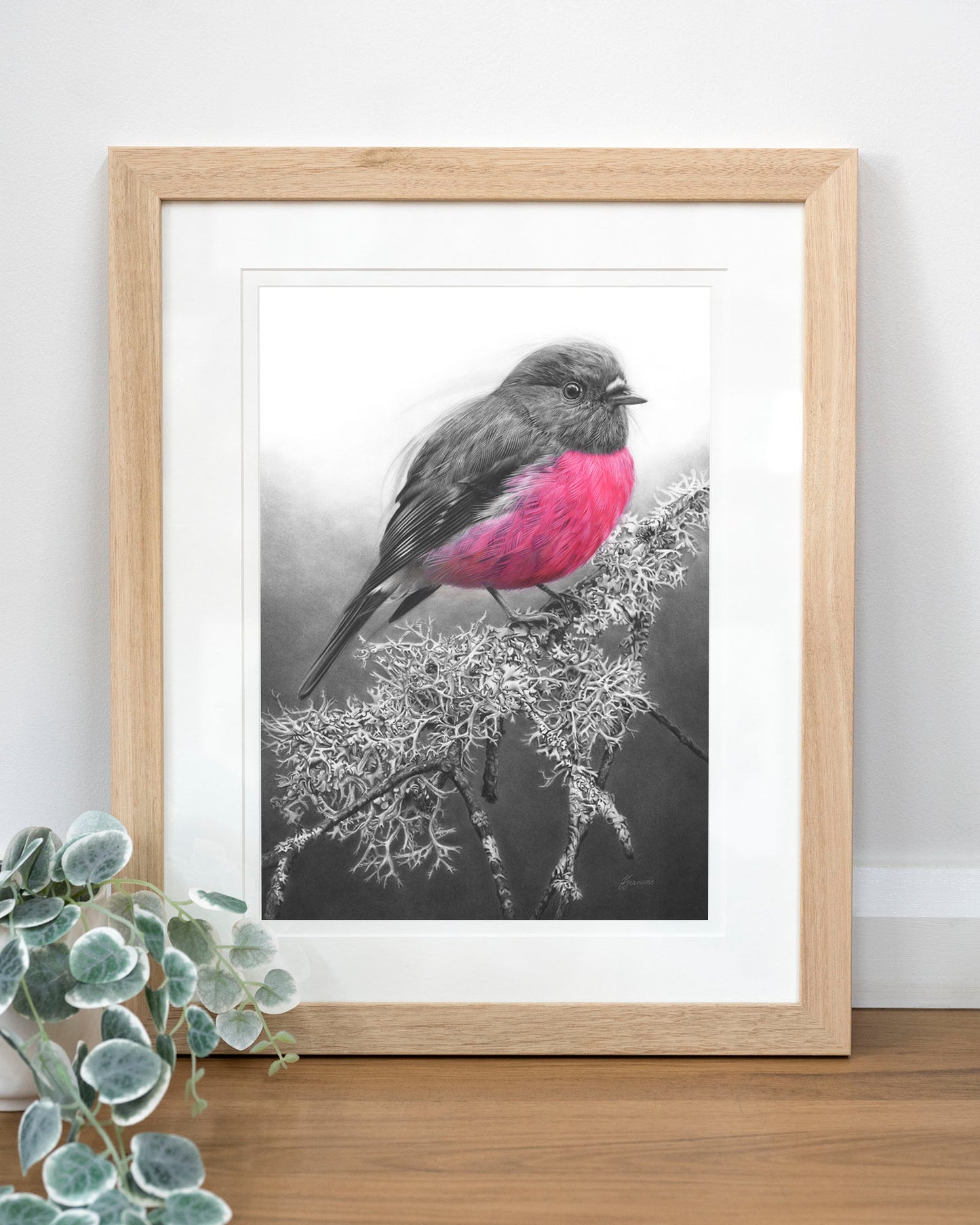 'Pink Robin' art print