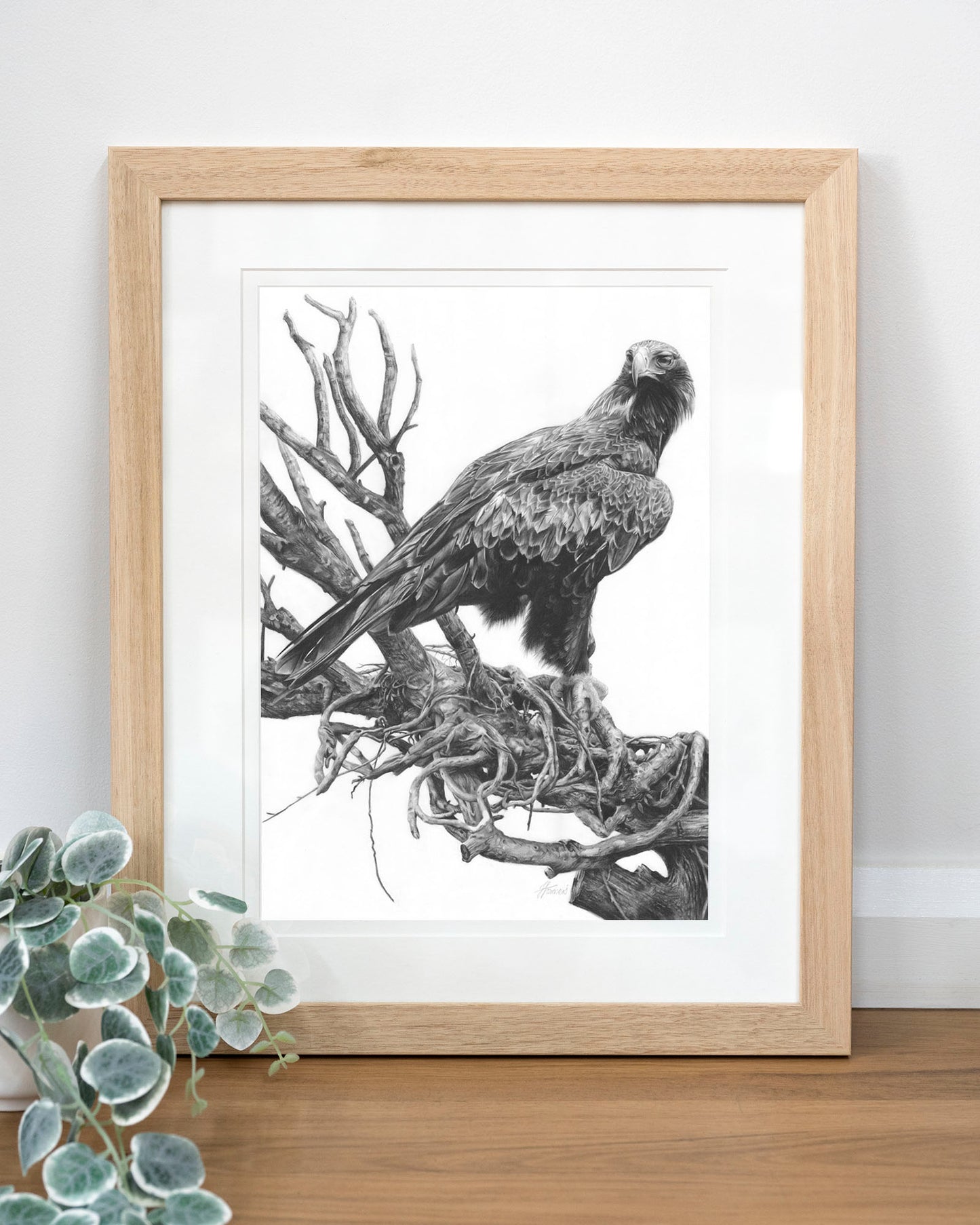 'Wedge-tailed Eagle' art print