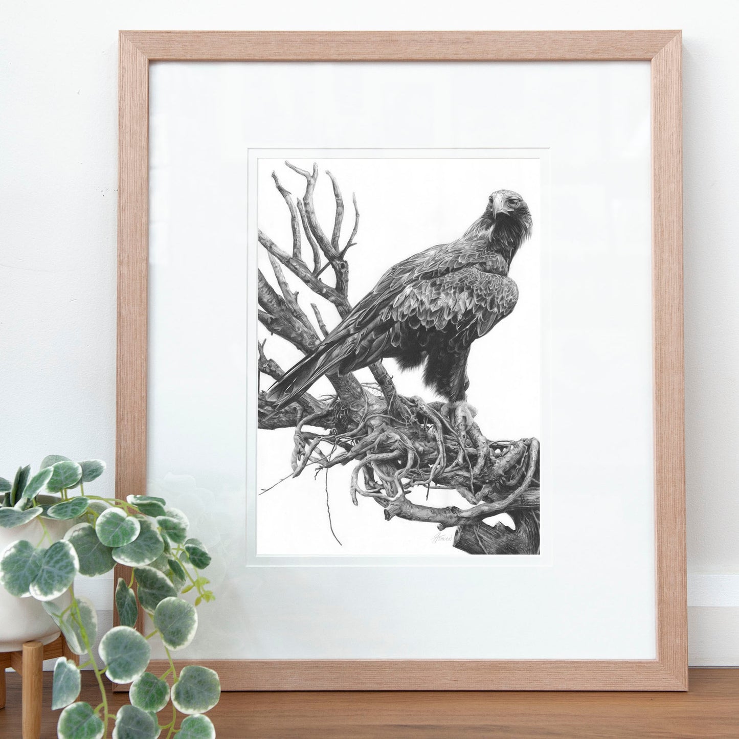 'Wedge-tailed Eagle' art print