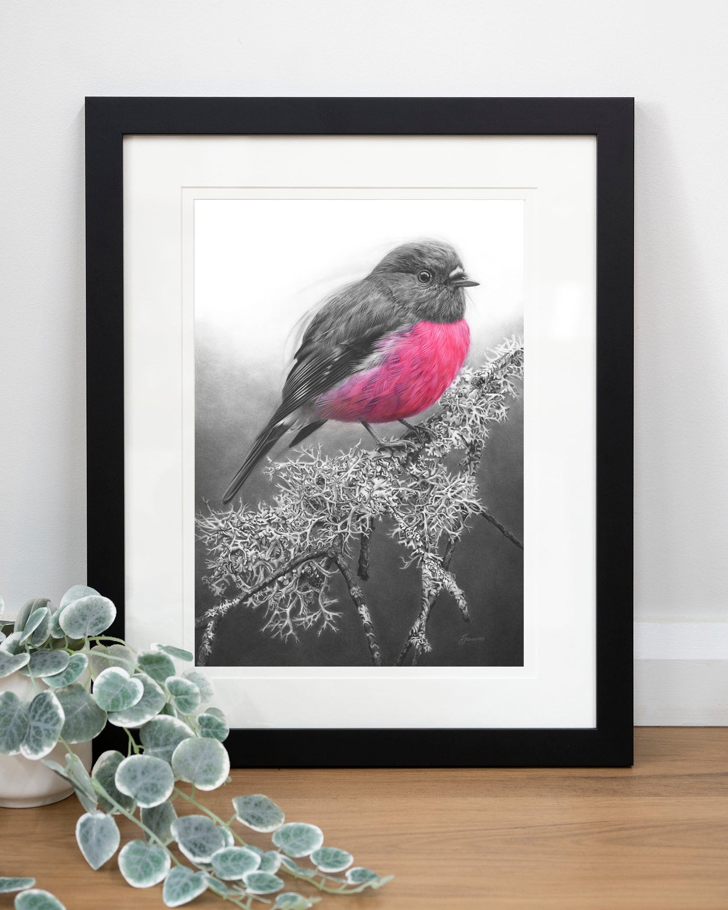 'Pink Robin' art print