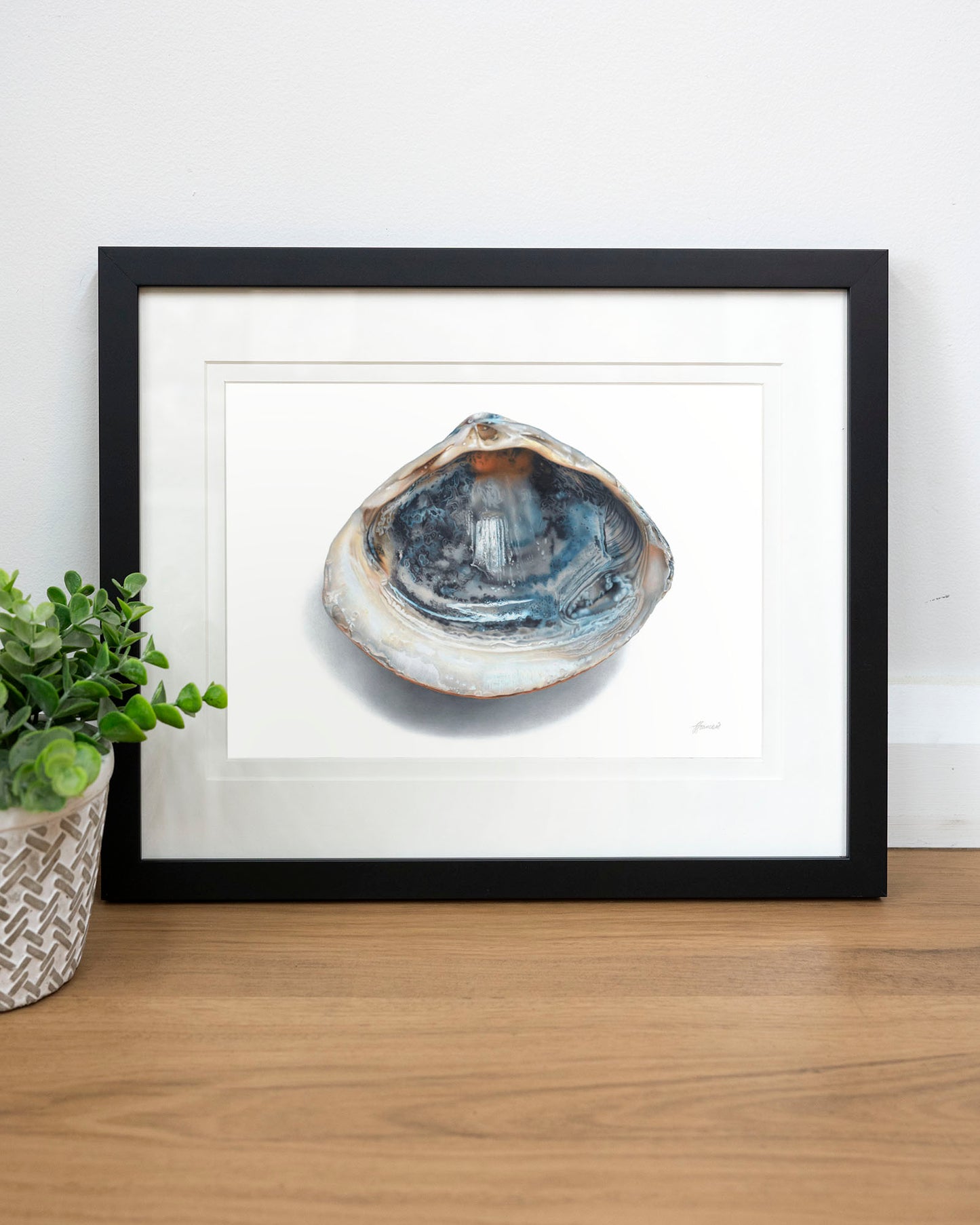 'Blue Shell' art print