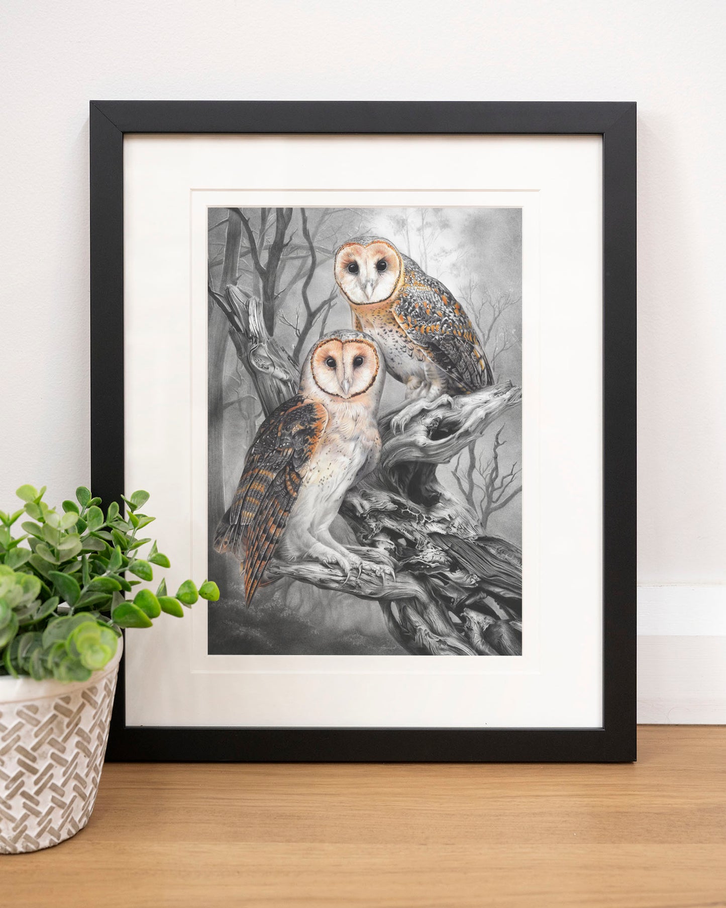 'Tasmanian Masked Owls' art print