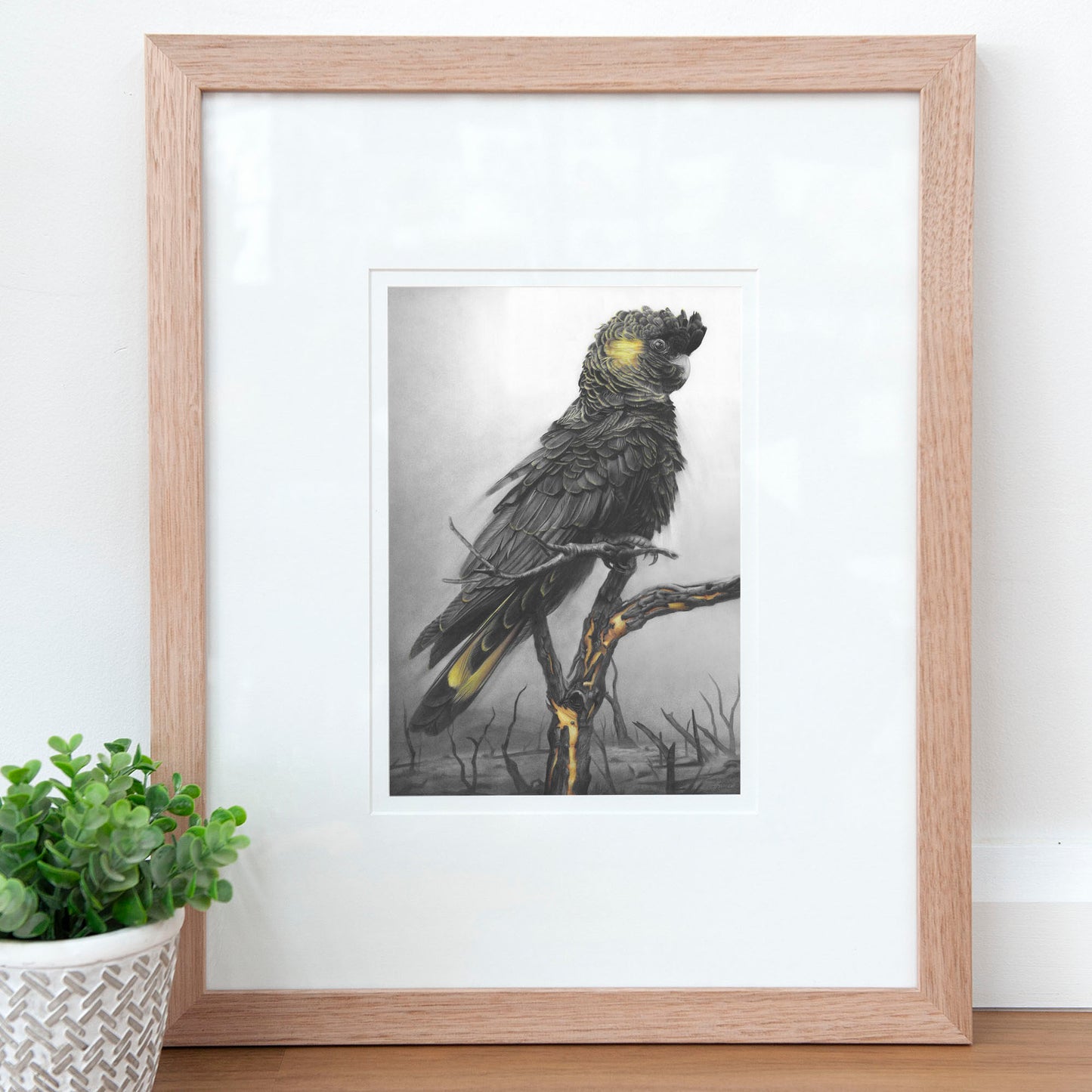 'Black Cockatoo' art print
