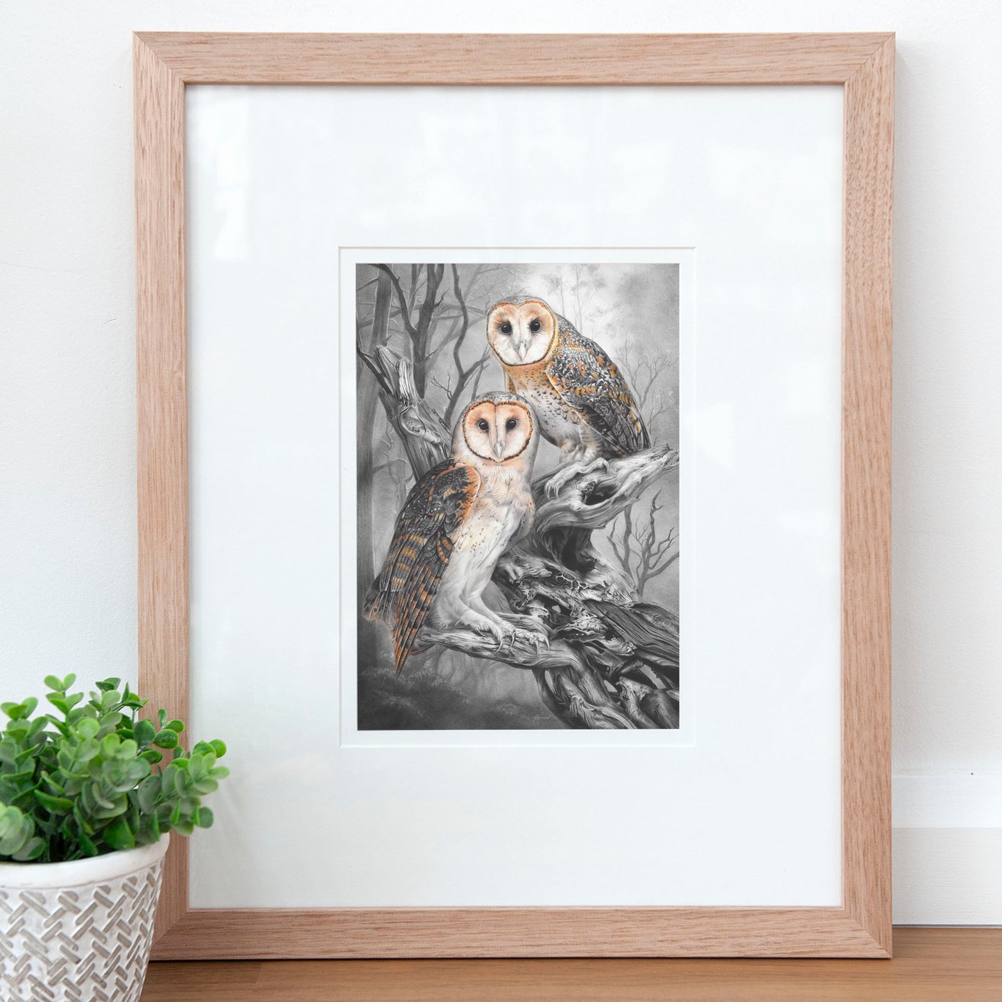 'Tasmanian Masked Owls' art print