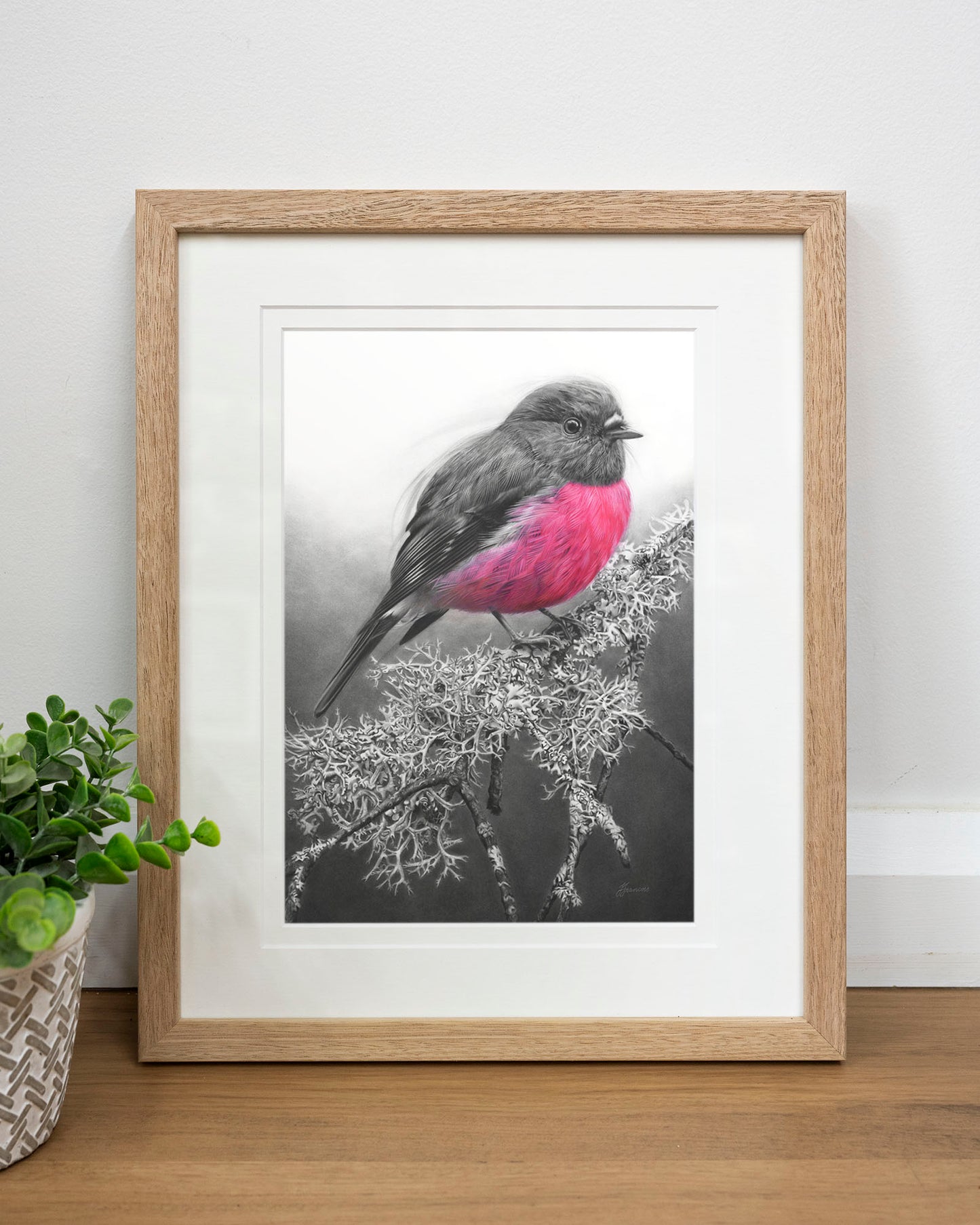 'Pink Robin' art print
