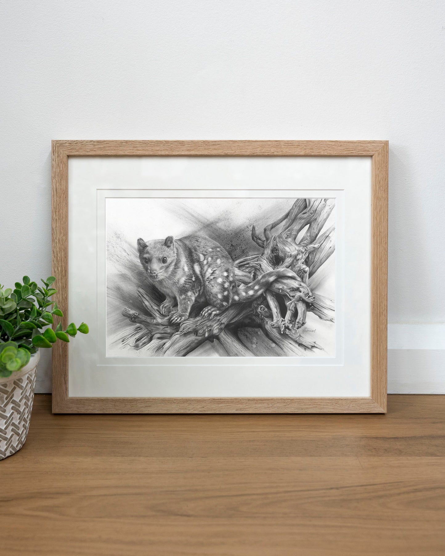 'Spotted Quoll' art print
