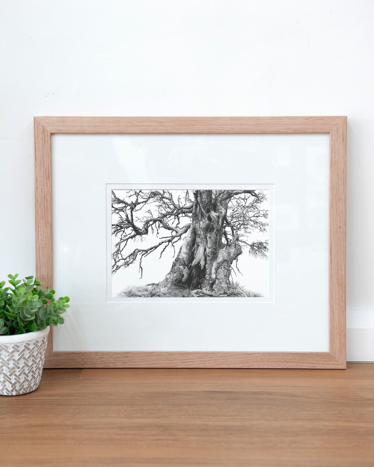 'Tree Elder 1' art print