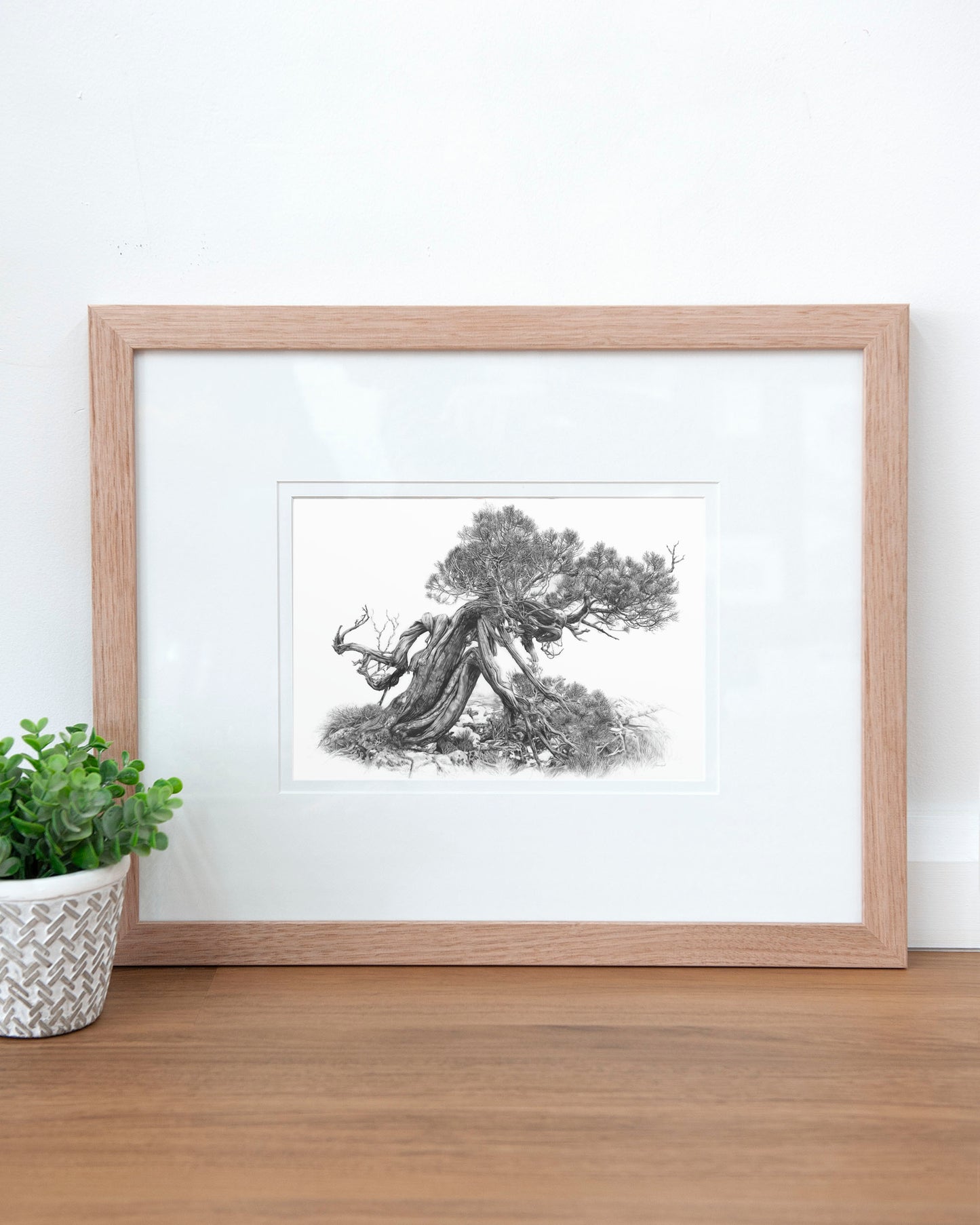 'Tree Elder 2' art print